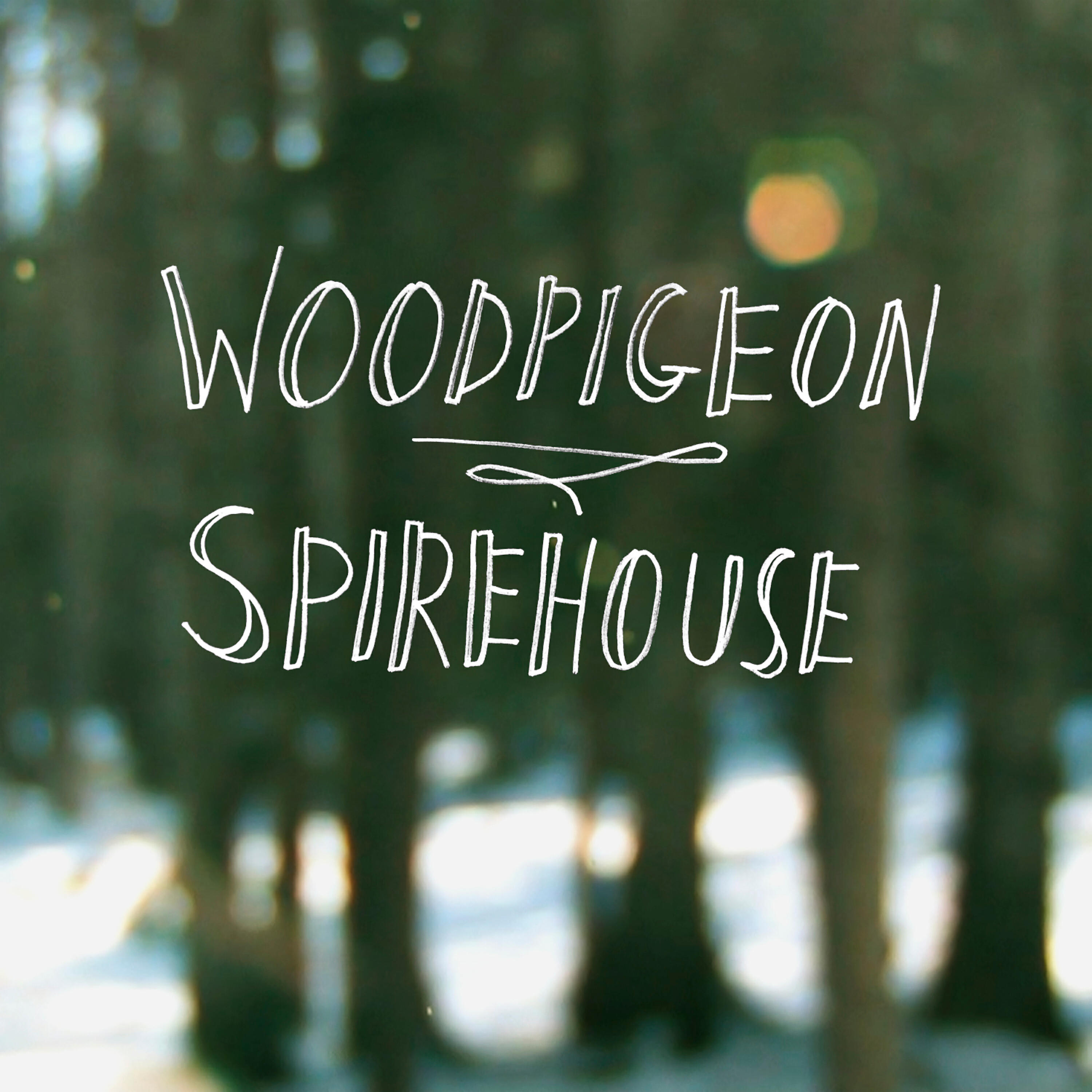 Woodpigeon - Don't Fret, My Pet