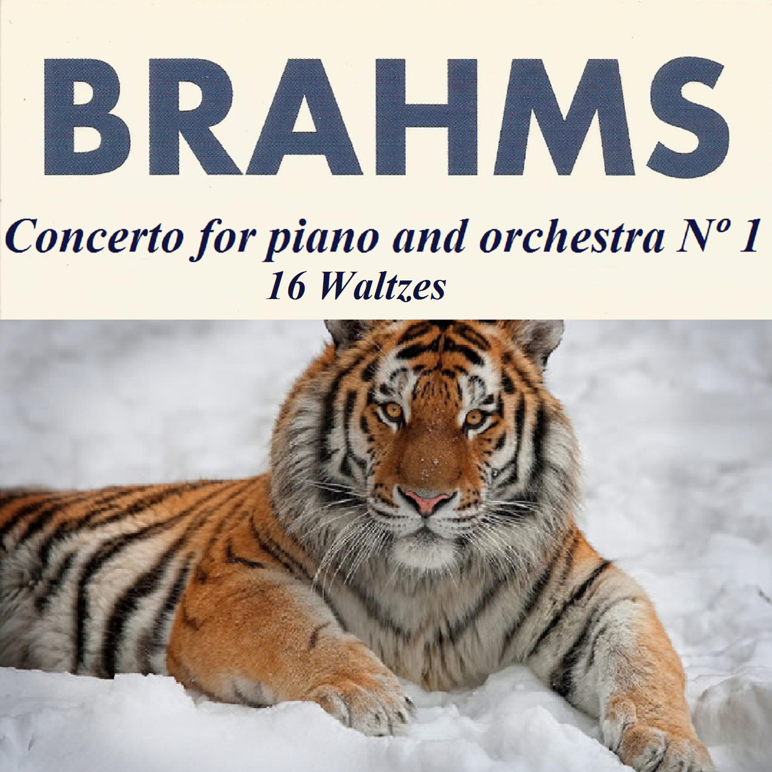 Постер альбома Brahms - Concerto for piano and orchestra Nº 1 - 16 Waltzes