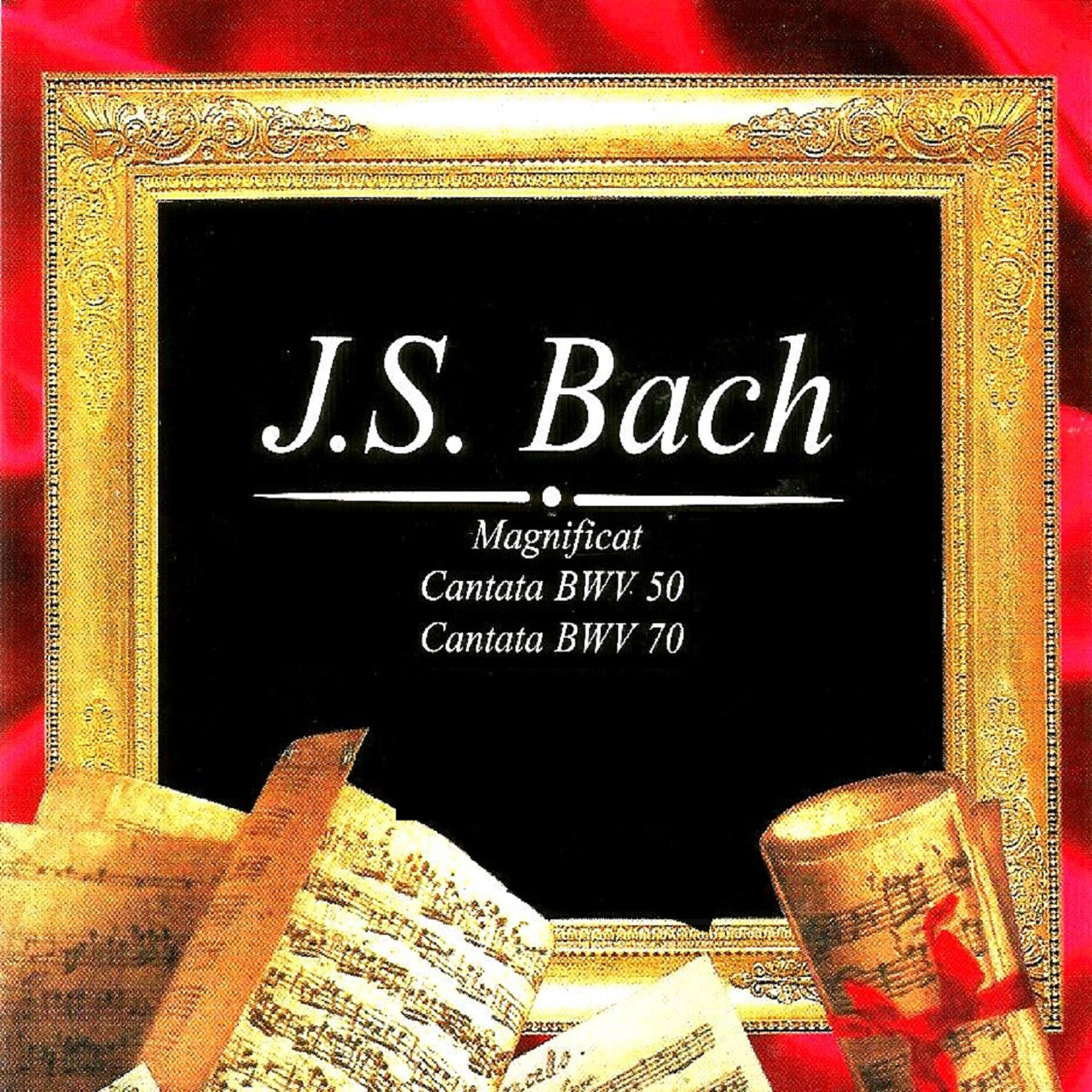 Orchestra of the Vienna State Opera - Magnificat , BWV 243: V.  Quia Fecit Mihi Magna