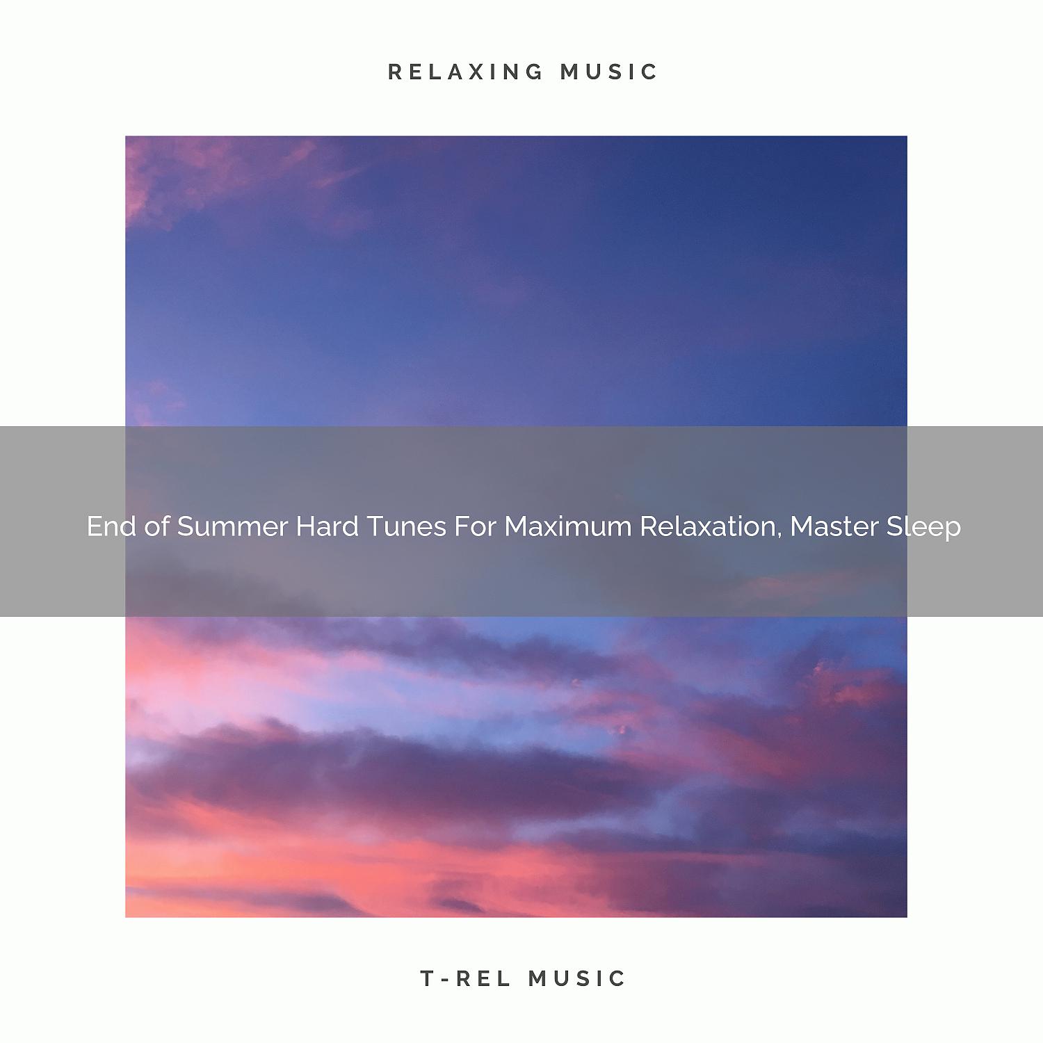 Постер альбома End of Summer Hard Tunes For Maximum Relaxation, Master Sleep