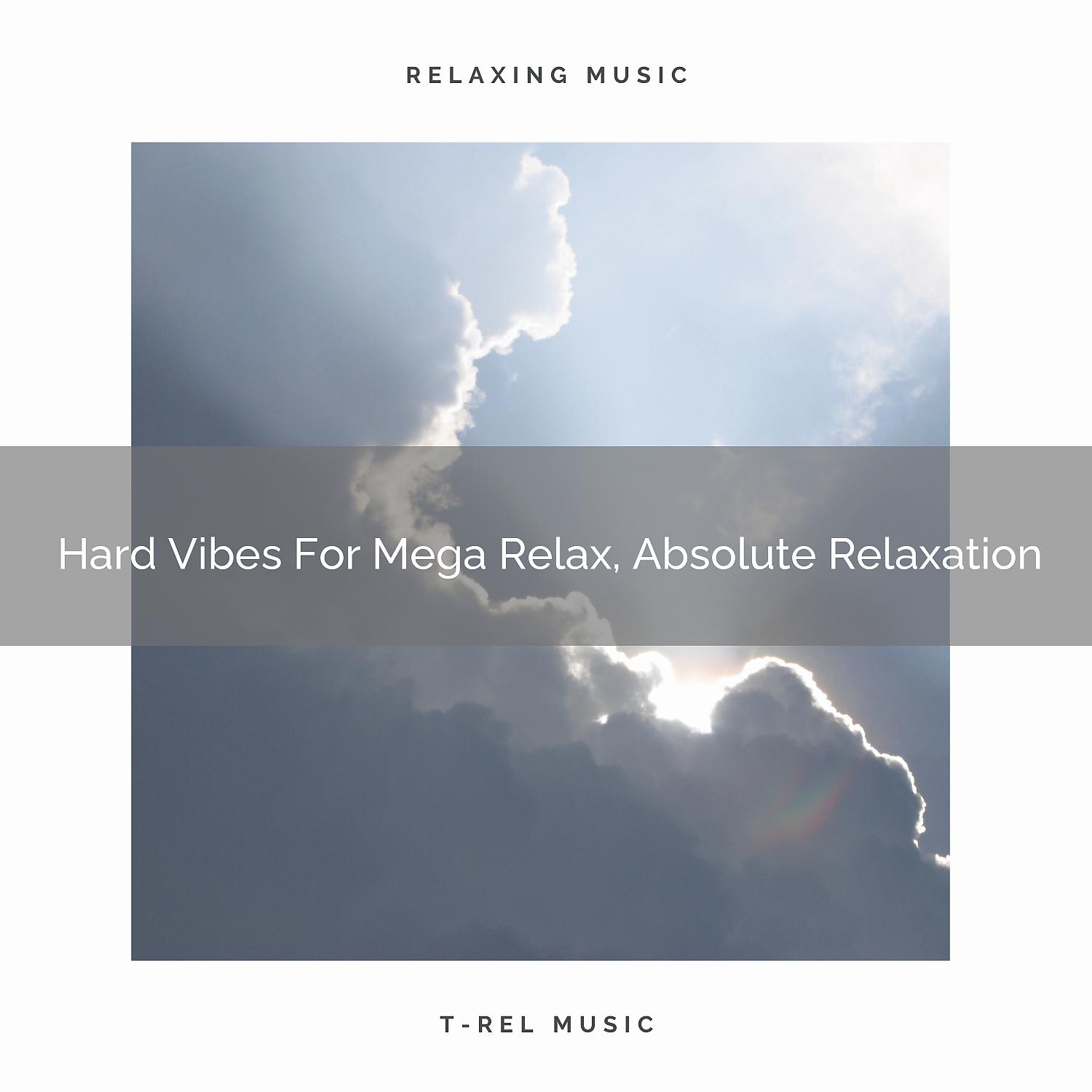 Постер альбома Hard Vibes For Mega Relax, Absolute Relaxation