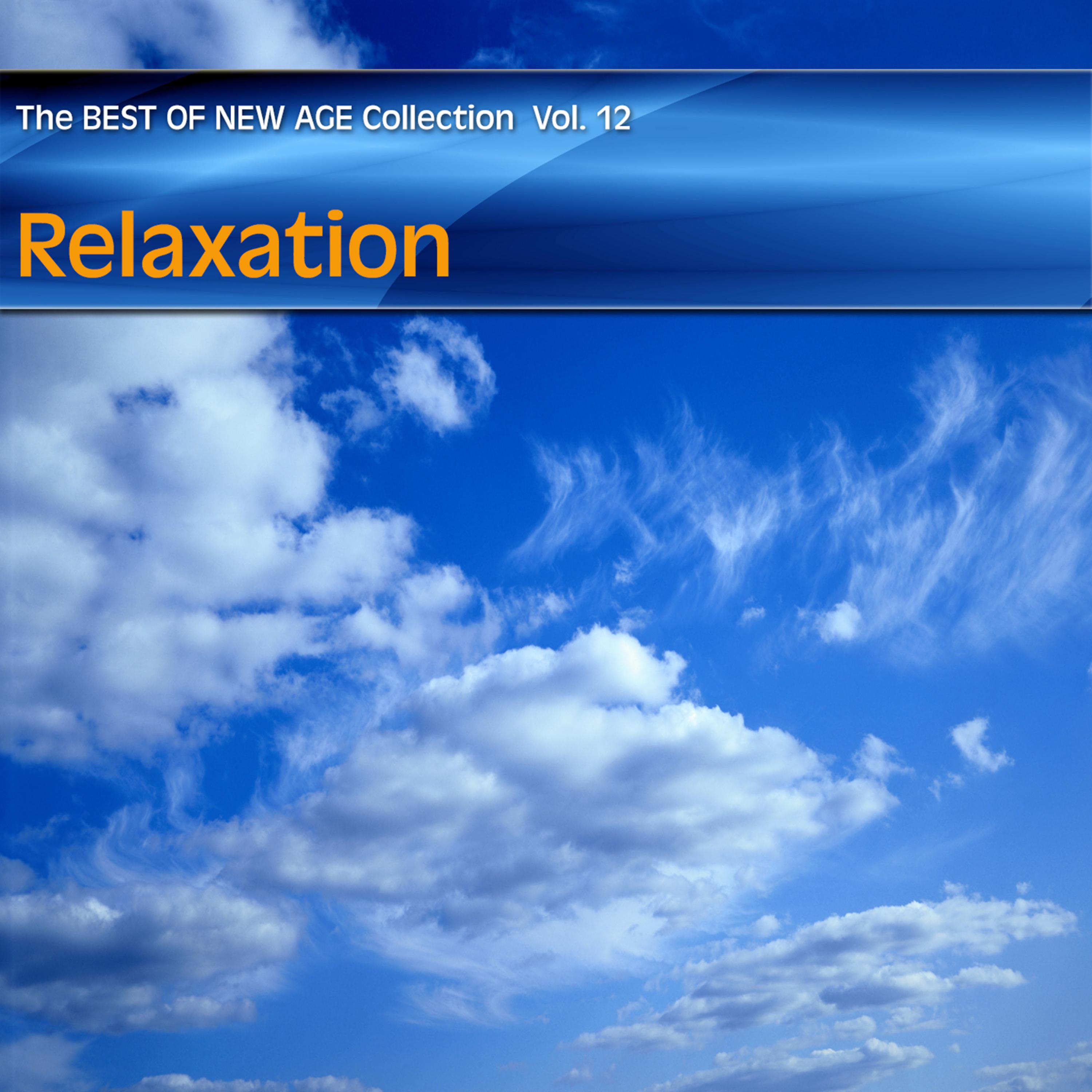 Постер альбома Best of New Age Collection Vol.12 - Relaxation