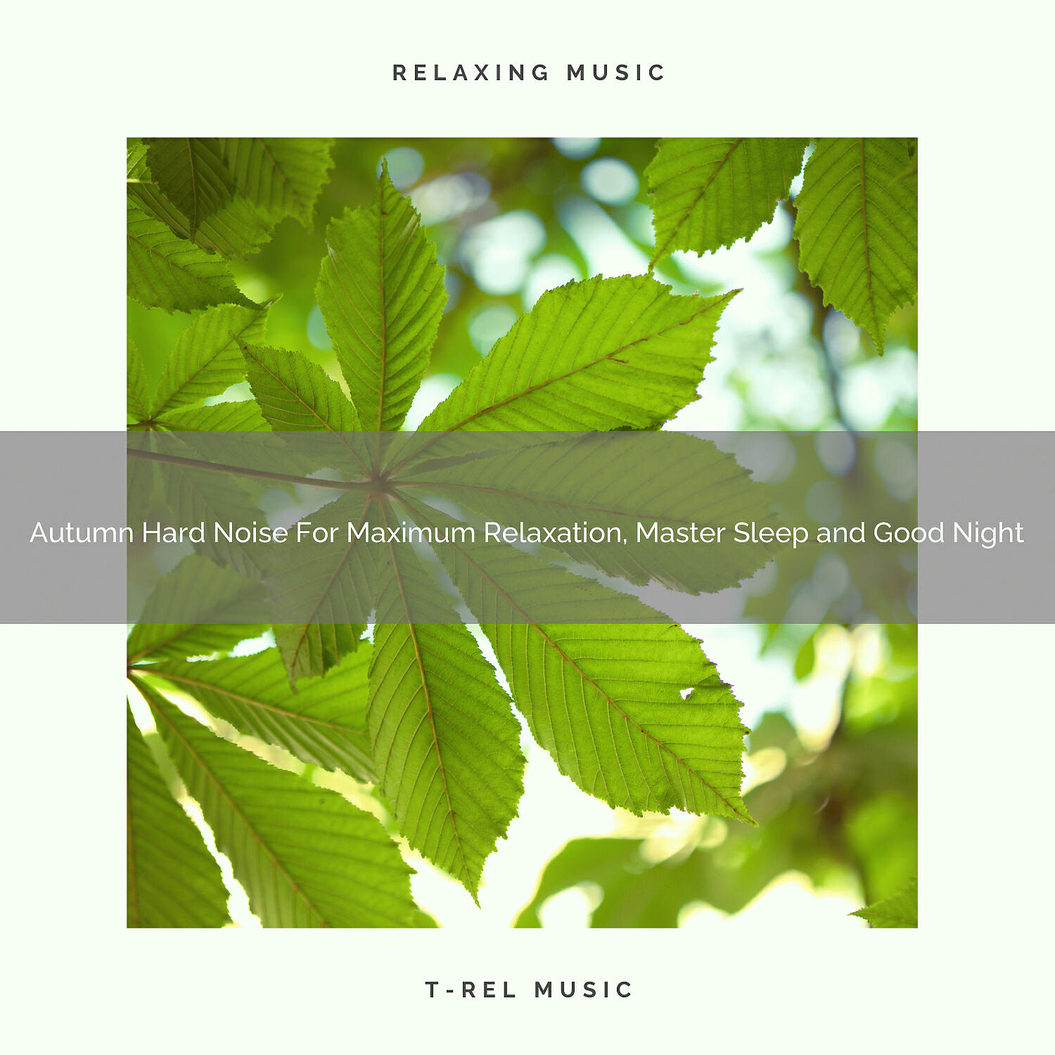 White Noise Meditation - Autumn Hard Noise For Maximum Relaxation, Master Sleep and Good Night