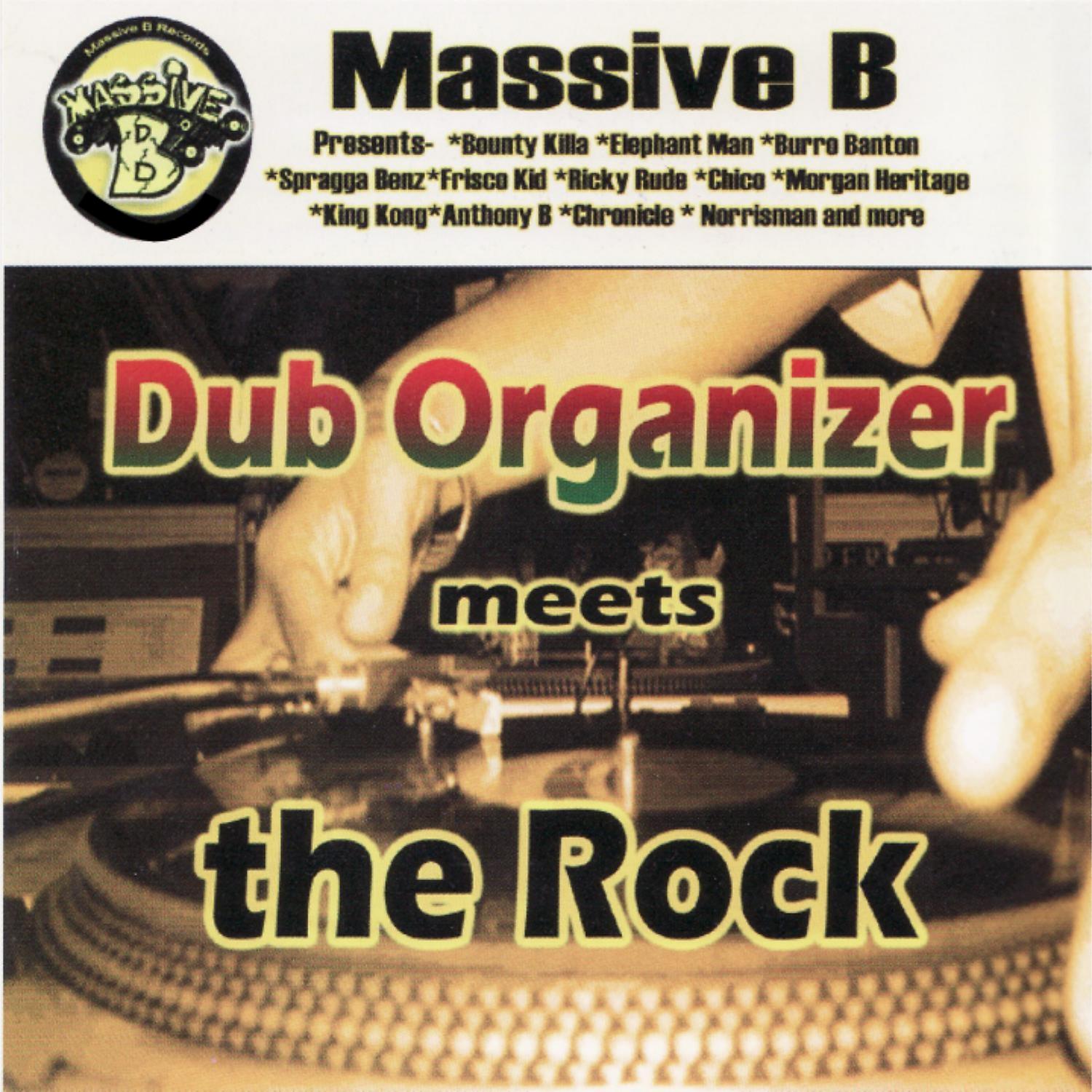 Постер альбома Dub Organizer Meets The Rock