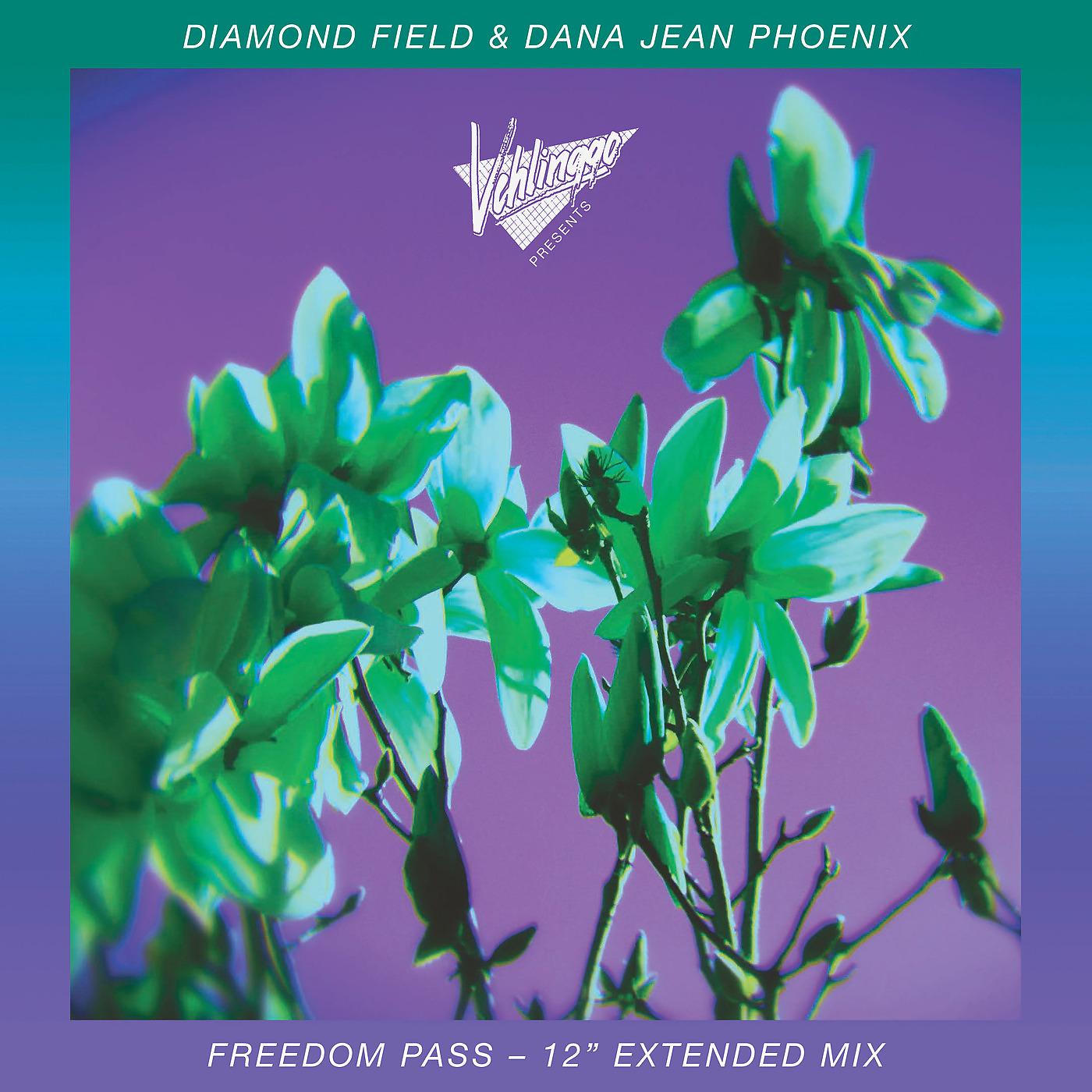 Постер альбома Freedom Pass (12" Extended Mix)