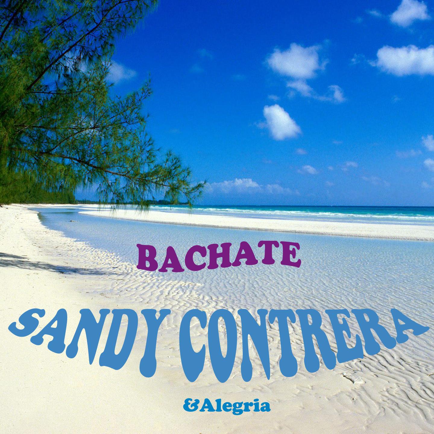 Постер альбома Bachate di Sandy Contrera e Alegria