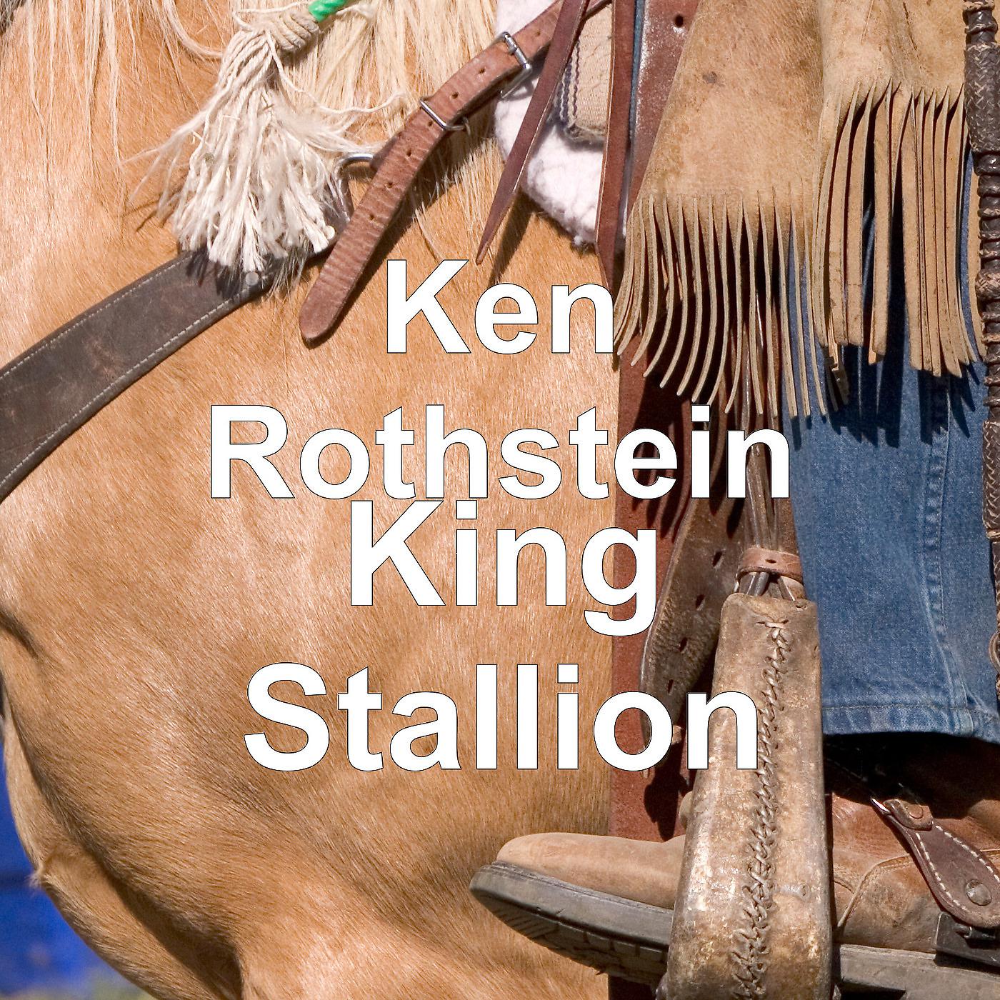 Постер альбома King Stallion