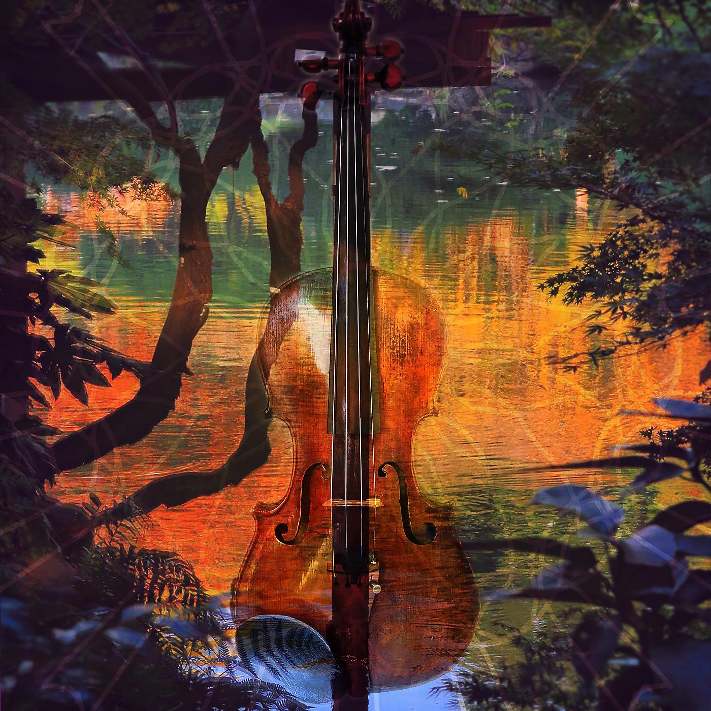 Постер альбома Violin Relax