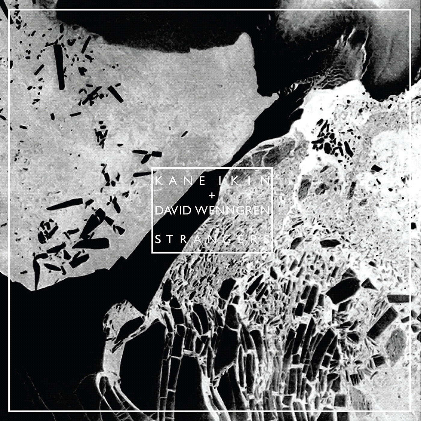 Kane Ikin - Veil
