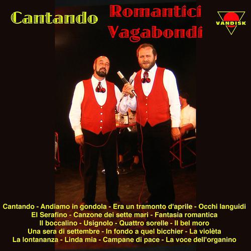 Постер альбома Cantando