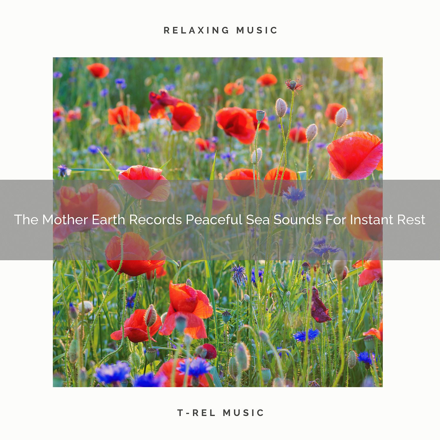 Постер альбома The Mother Earth Records Peaceful Sea Sounds For Instant Rest