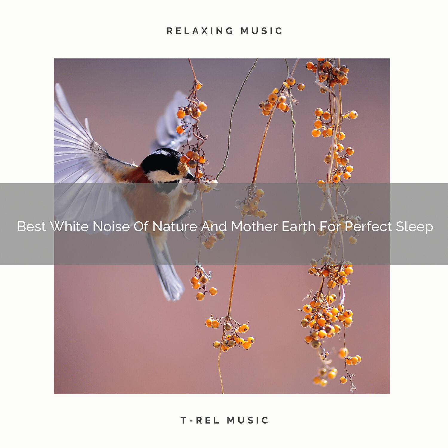 The Noise Project - Best White Noise Of Ocean And Woods For Absolute Recharge