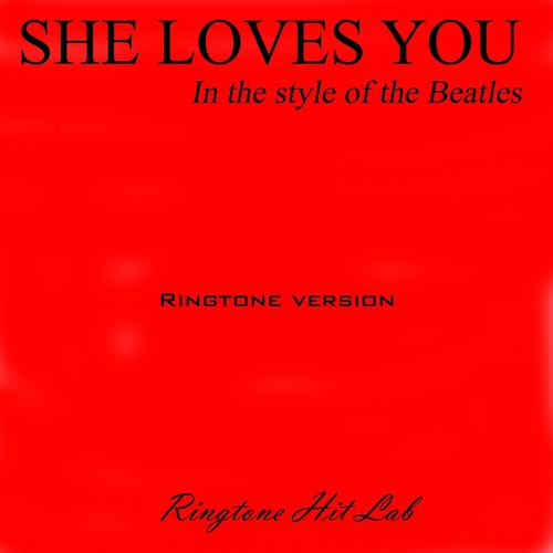 Постер альбома She Loves You in the Style of the Beatles
