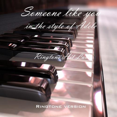 Постер альбома Someone Like You in the Style of Adele