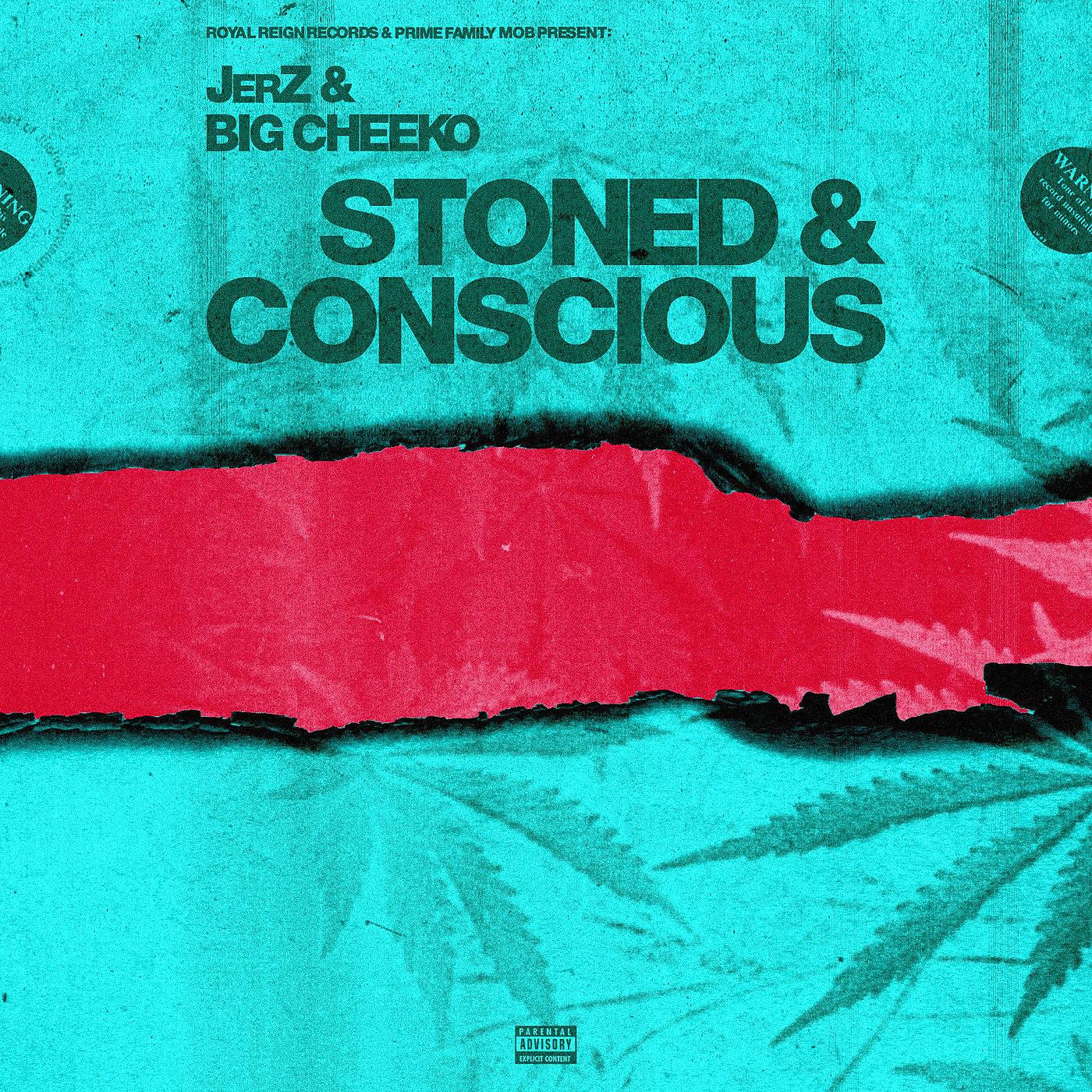 Постер альбома Stoned & ConsCious