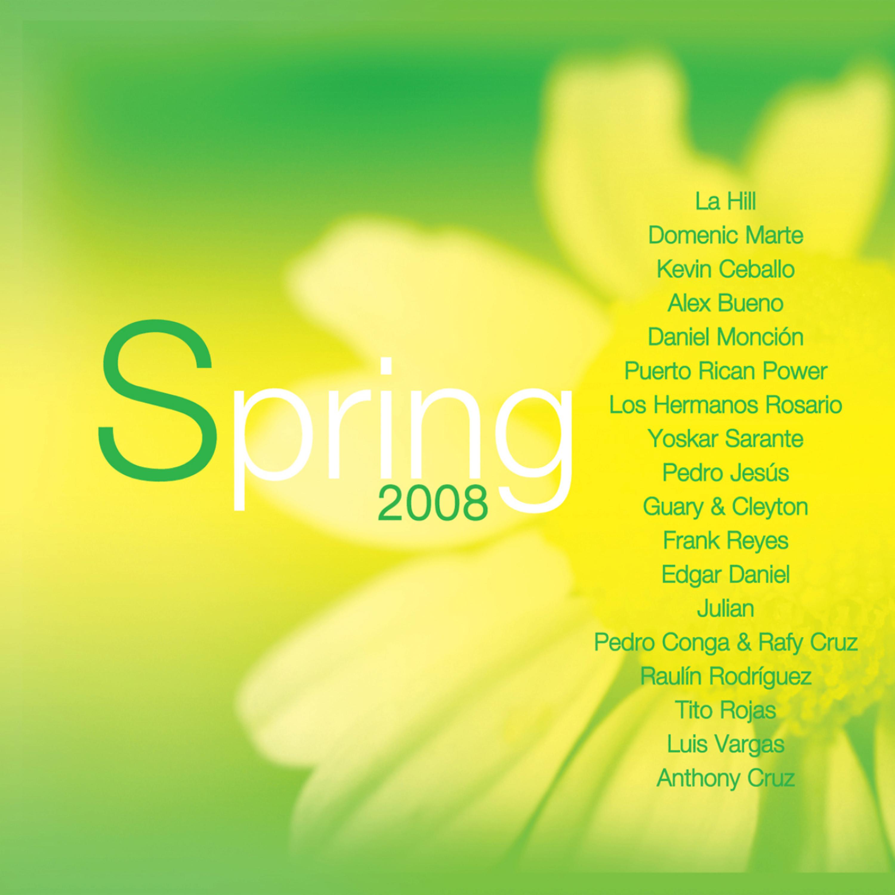 Постер альбома Spring '08