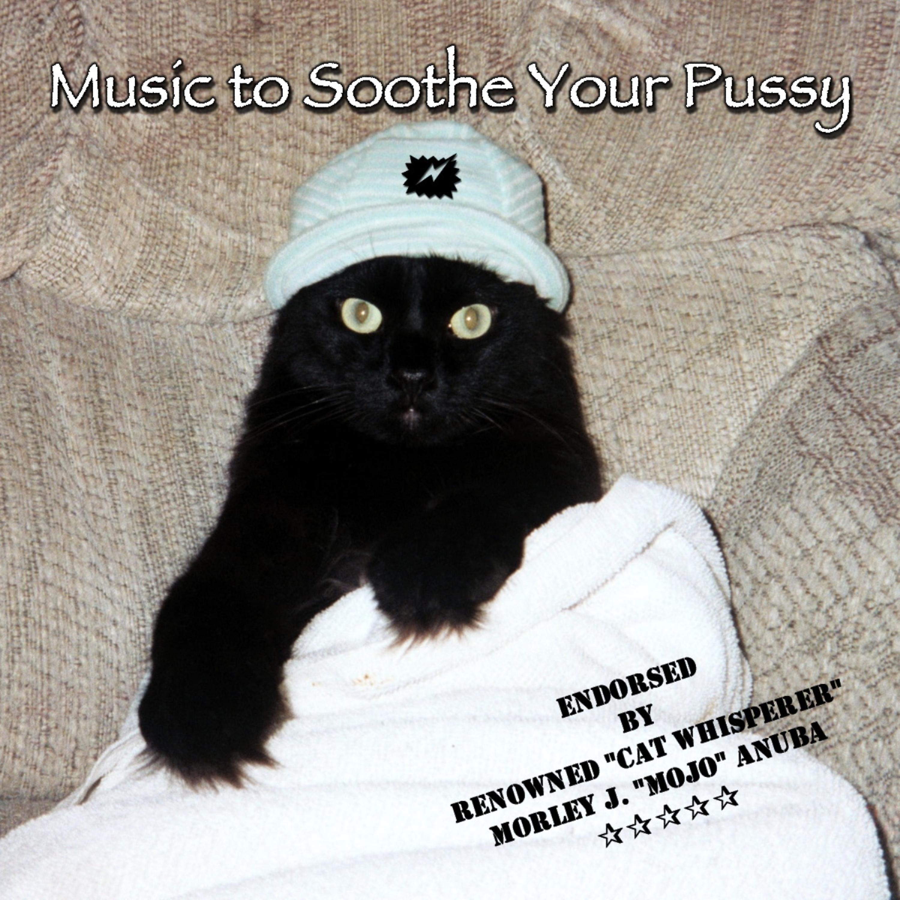 Постер альбома Music to Soothe Your Pussy