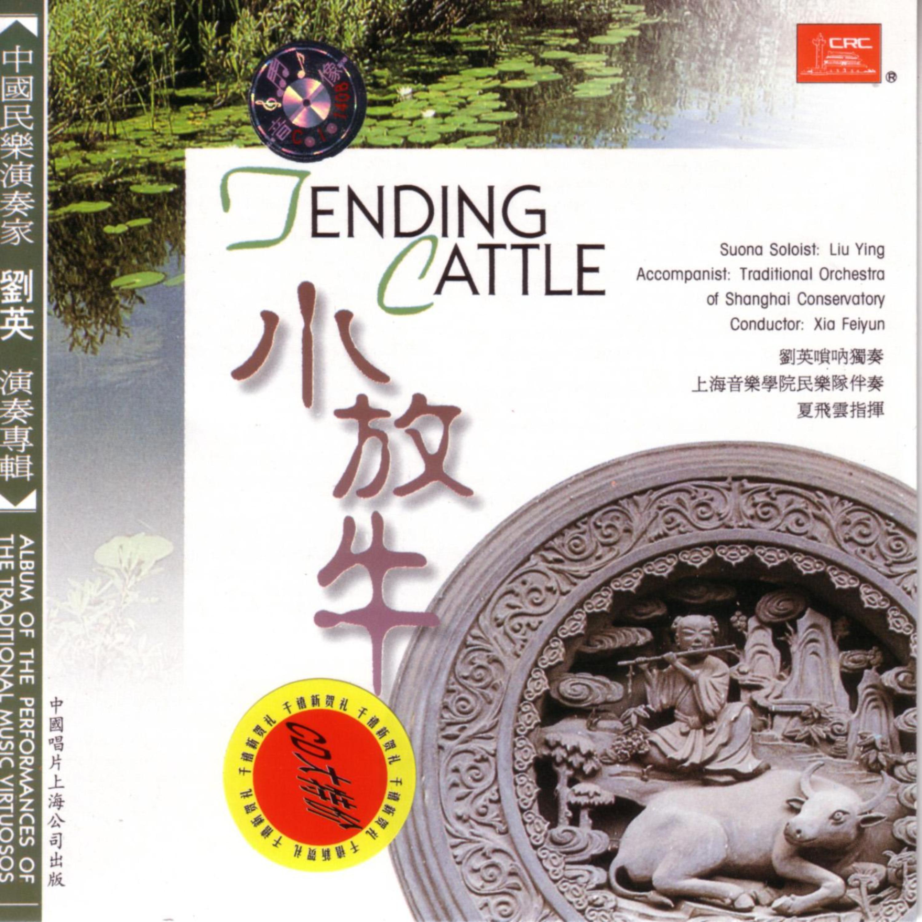 Постер альбома Tending Cattle
