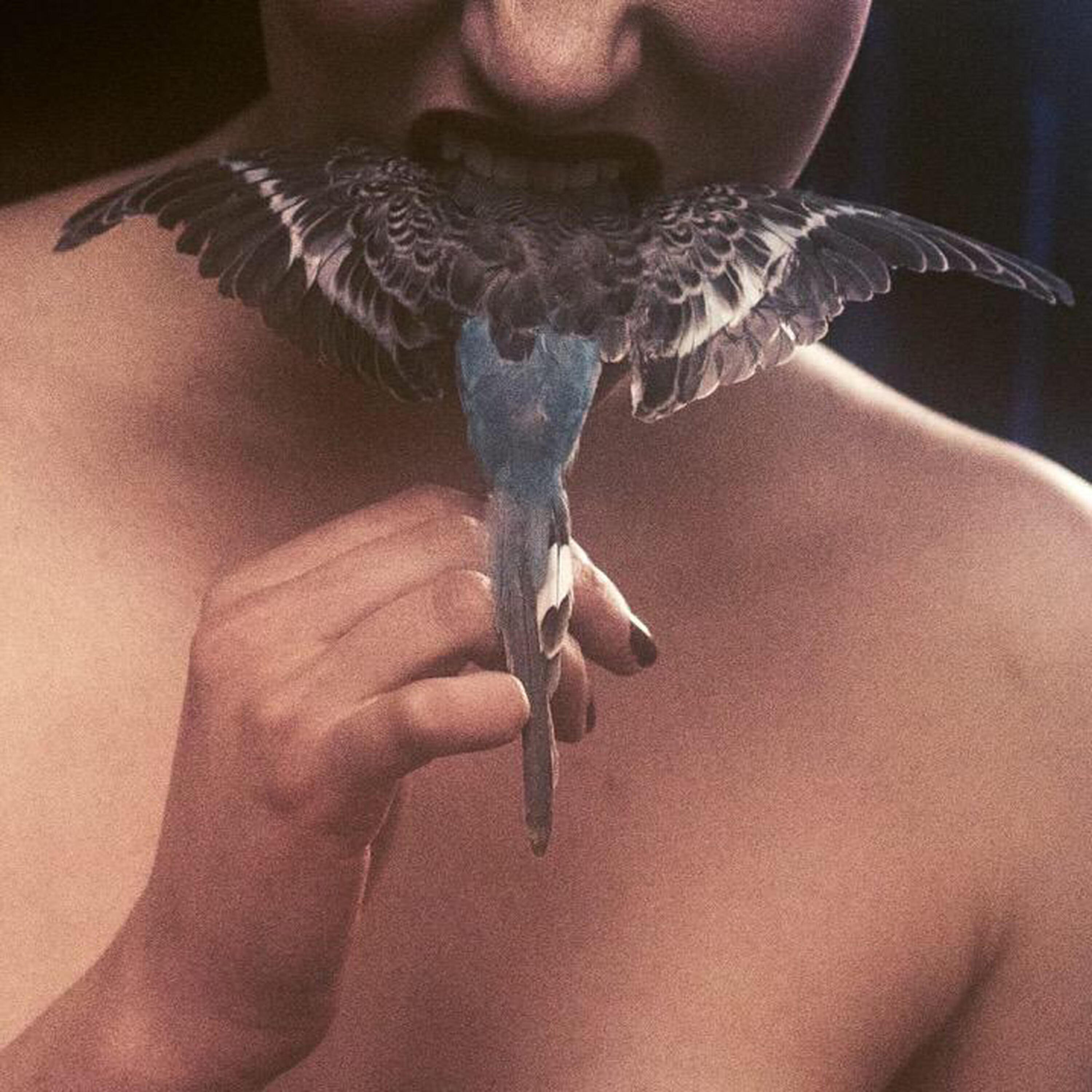 SKECH185 - Skies