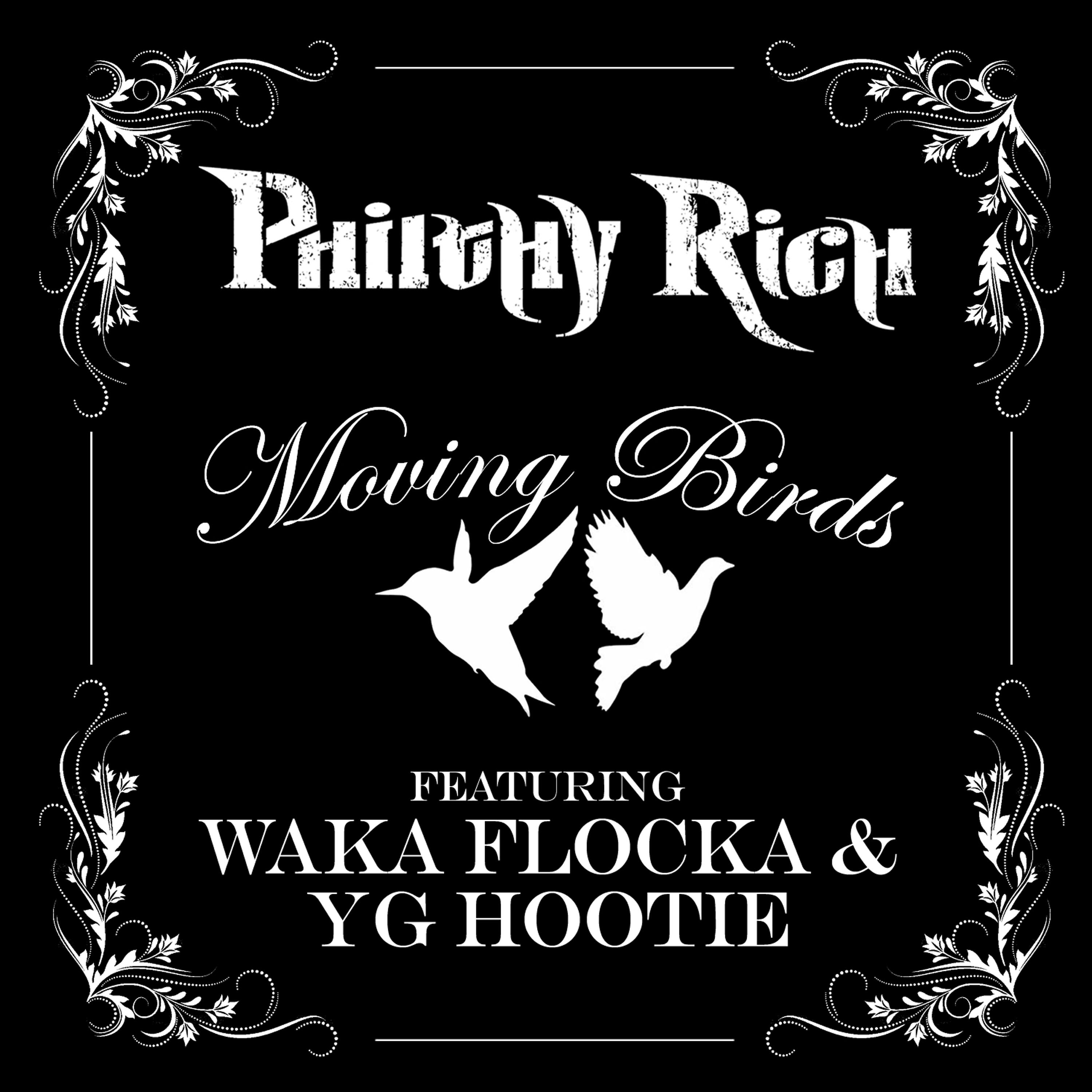 Постер альбома Moving Birds