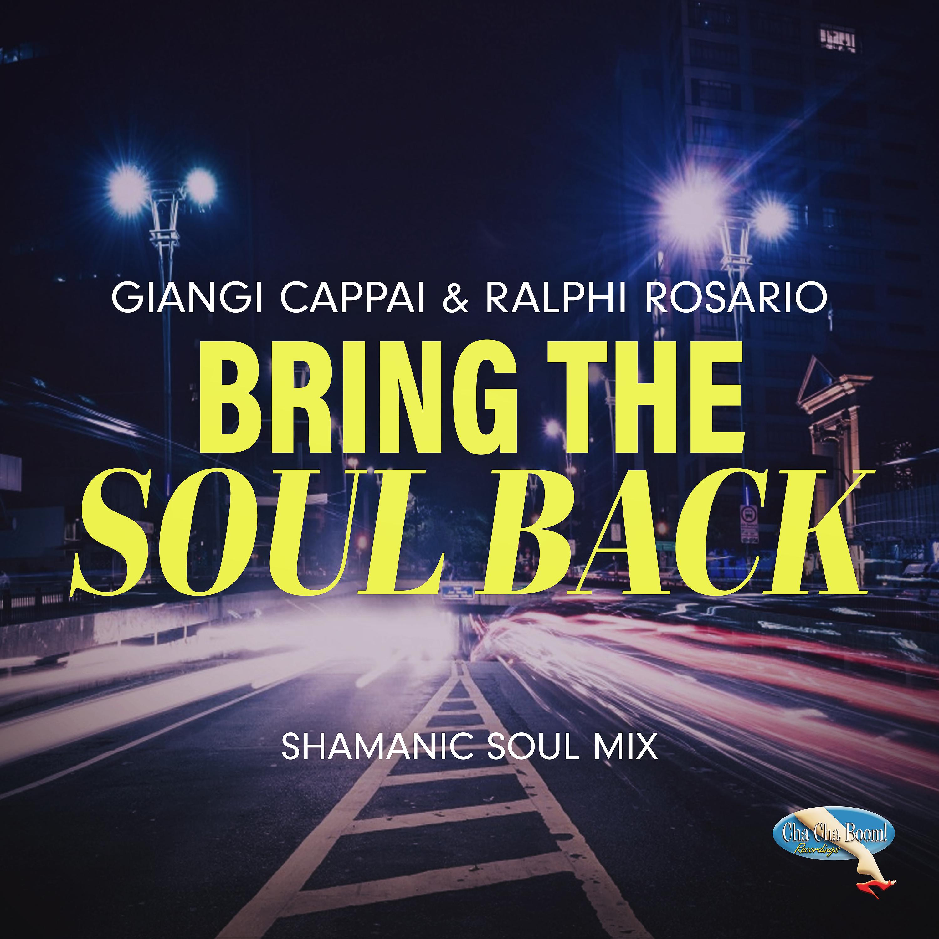 Постер альбома Bring the Soul Back (The Shamanic Soul Mix)