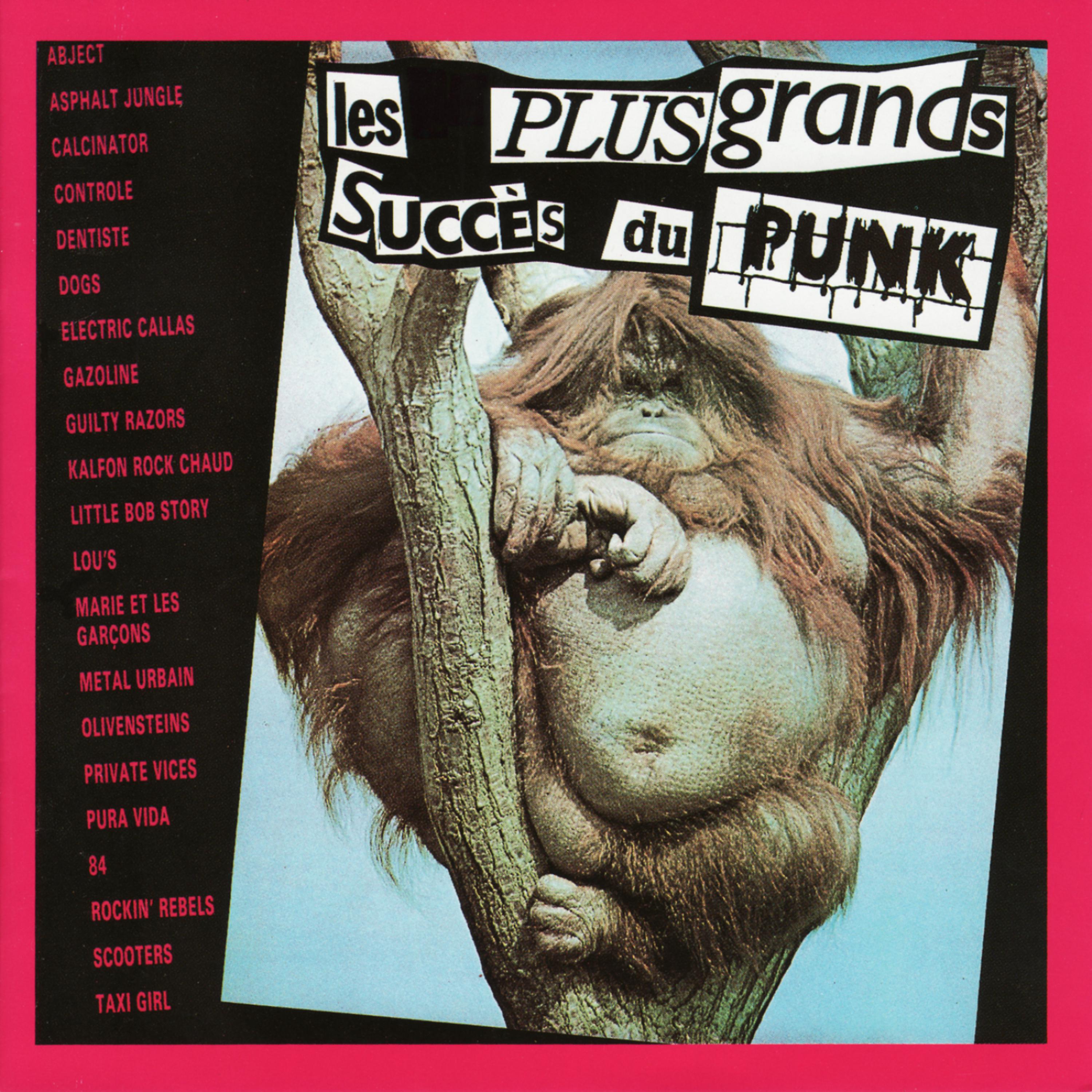 Постер альбома Les Plus Grands Succes du Punk
