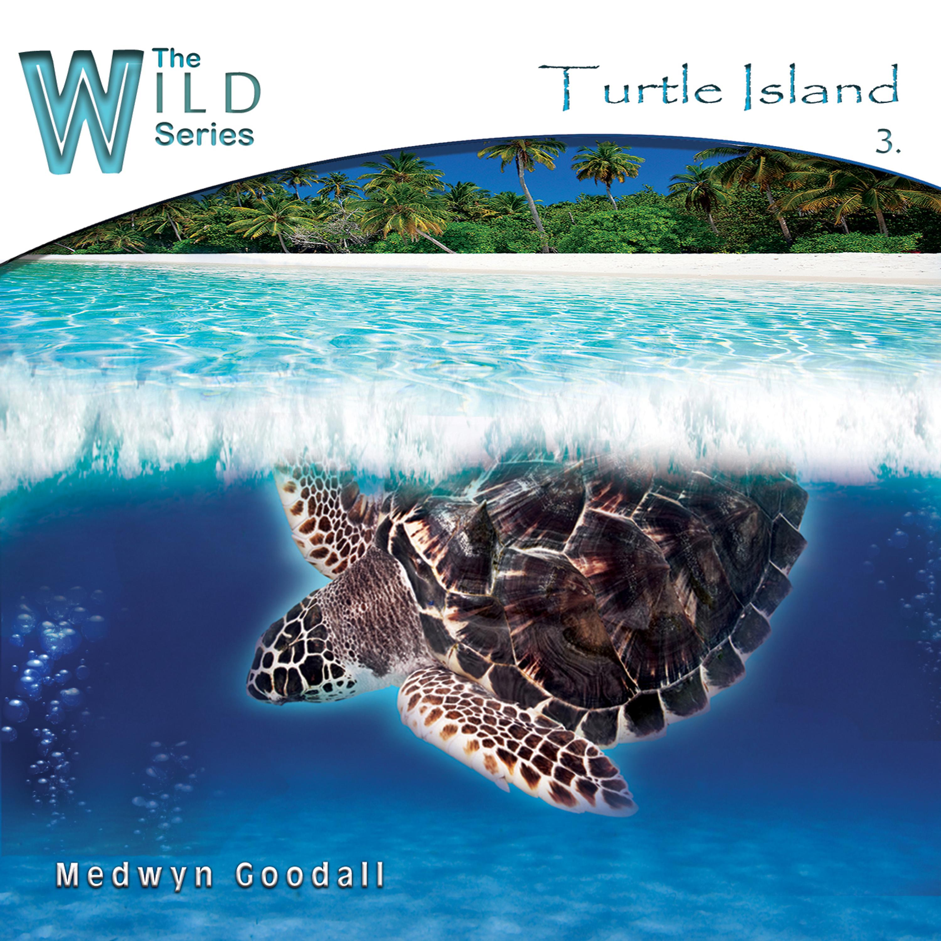 Постер альбома Turtle Island