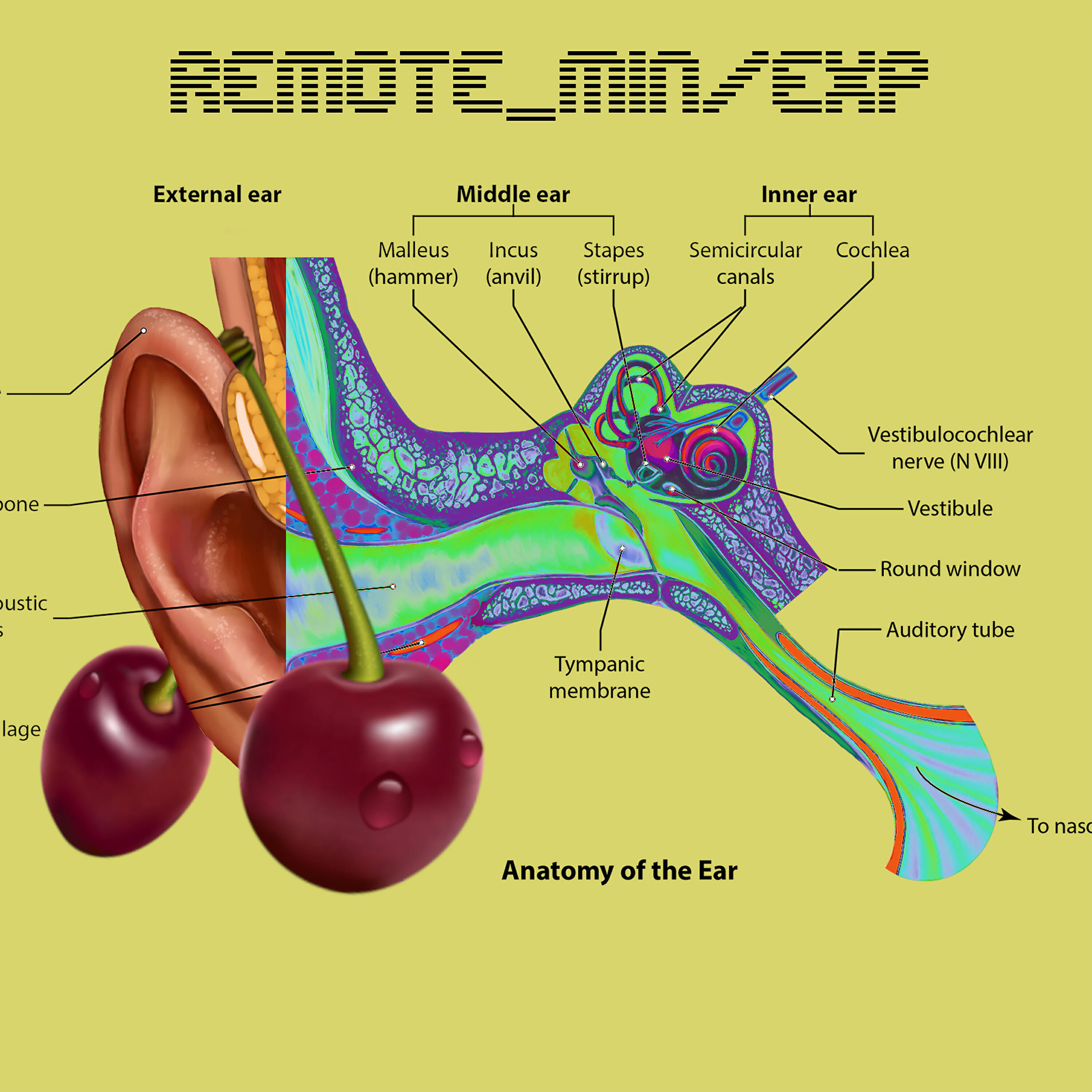 Remote_Min - District7