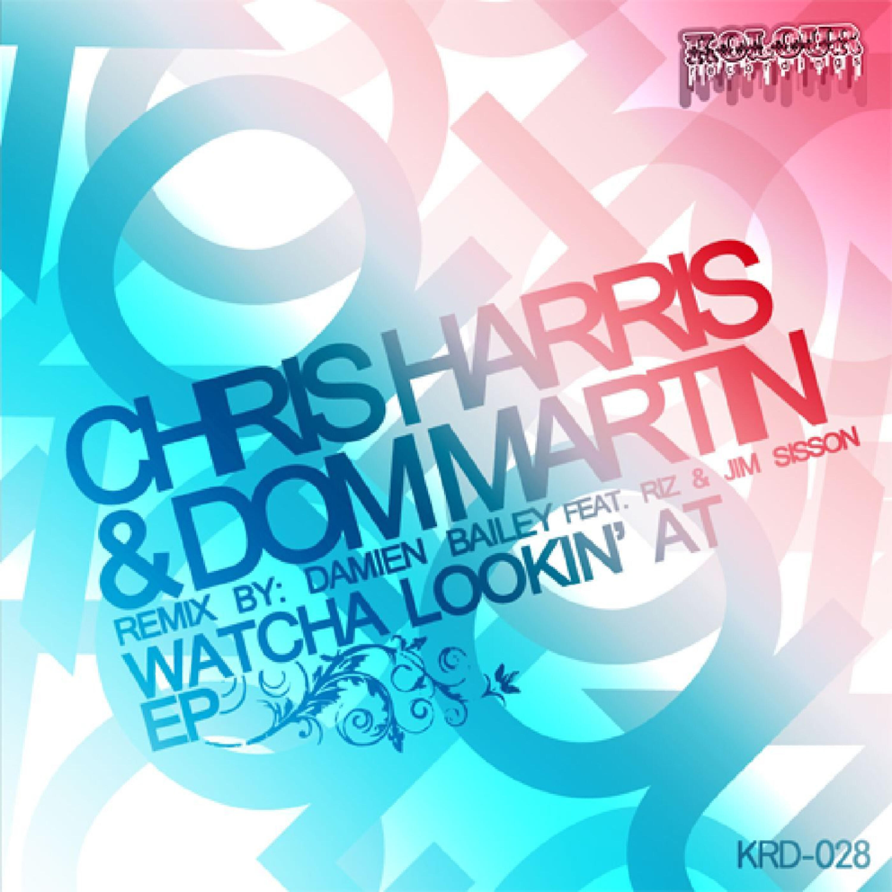 Riz - Watcha Lookin At (feat. Riz & Jim Sisson) (Damien Bailey RMX)