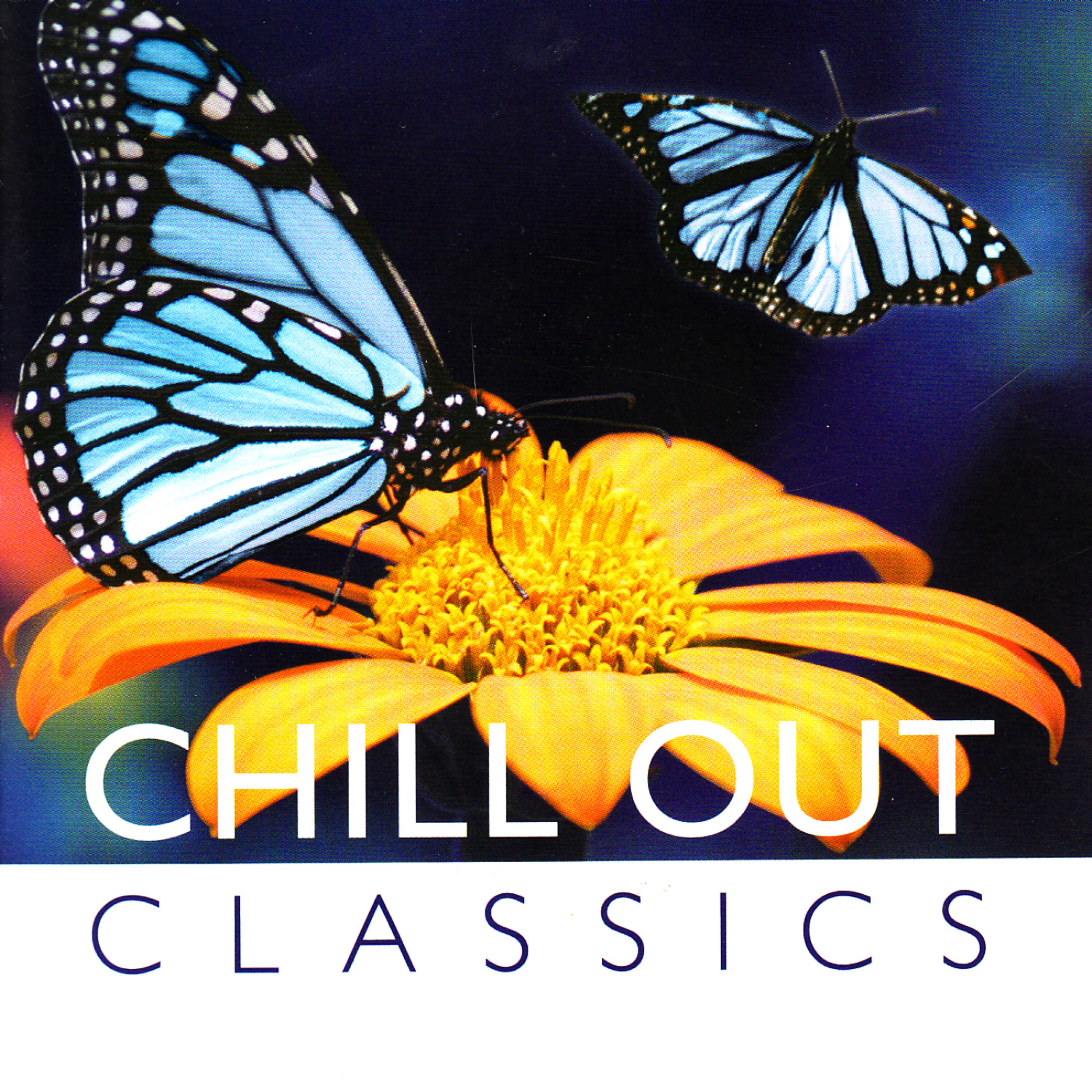 Global Journey Orchestra - The Swan (Charles-Camille Saint Saens)