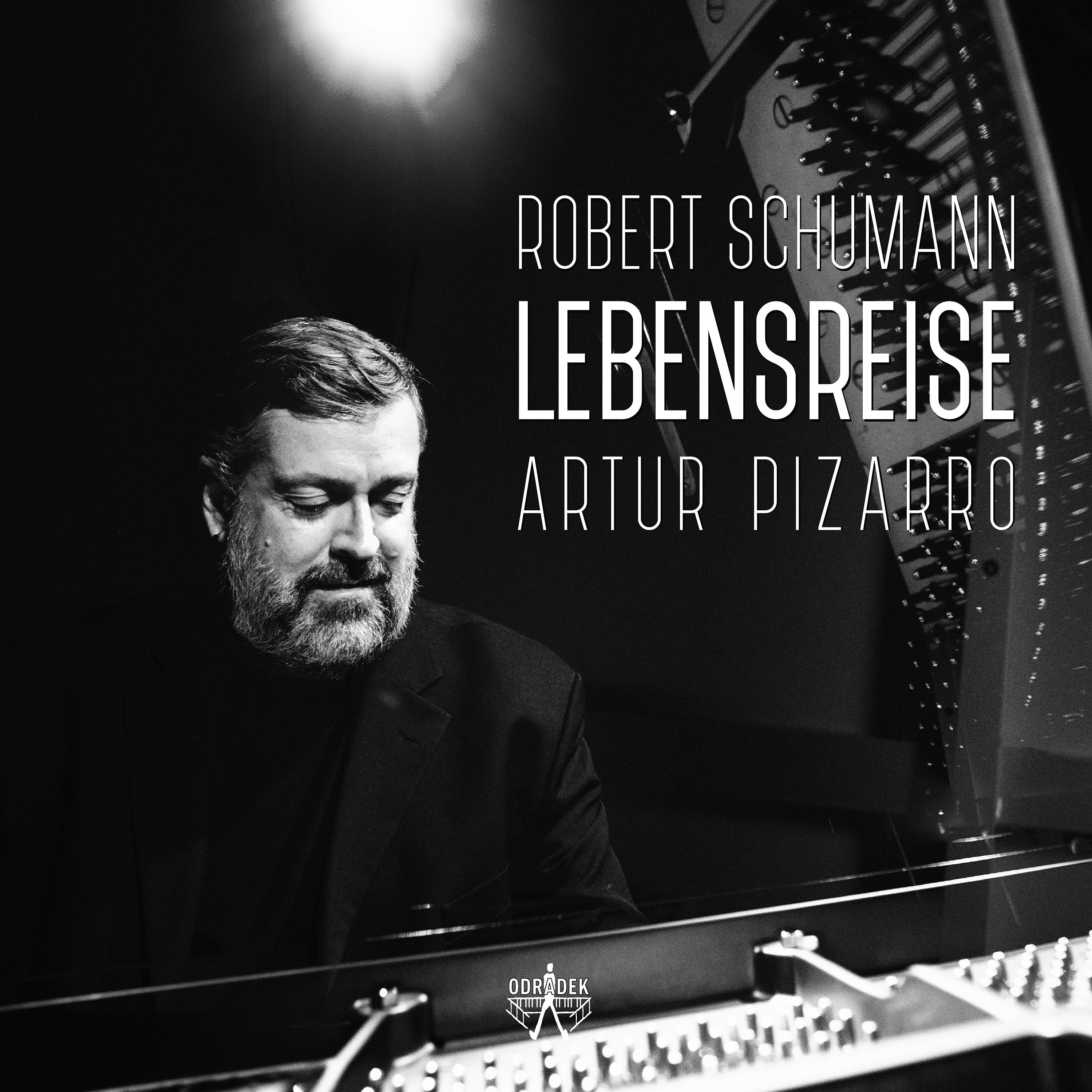 Постер альбома Robert Schumann - Lebensreise