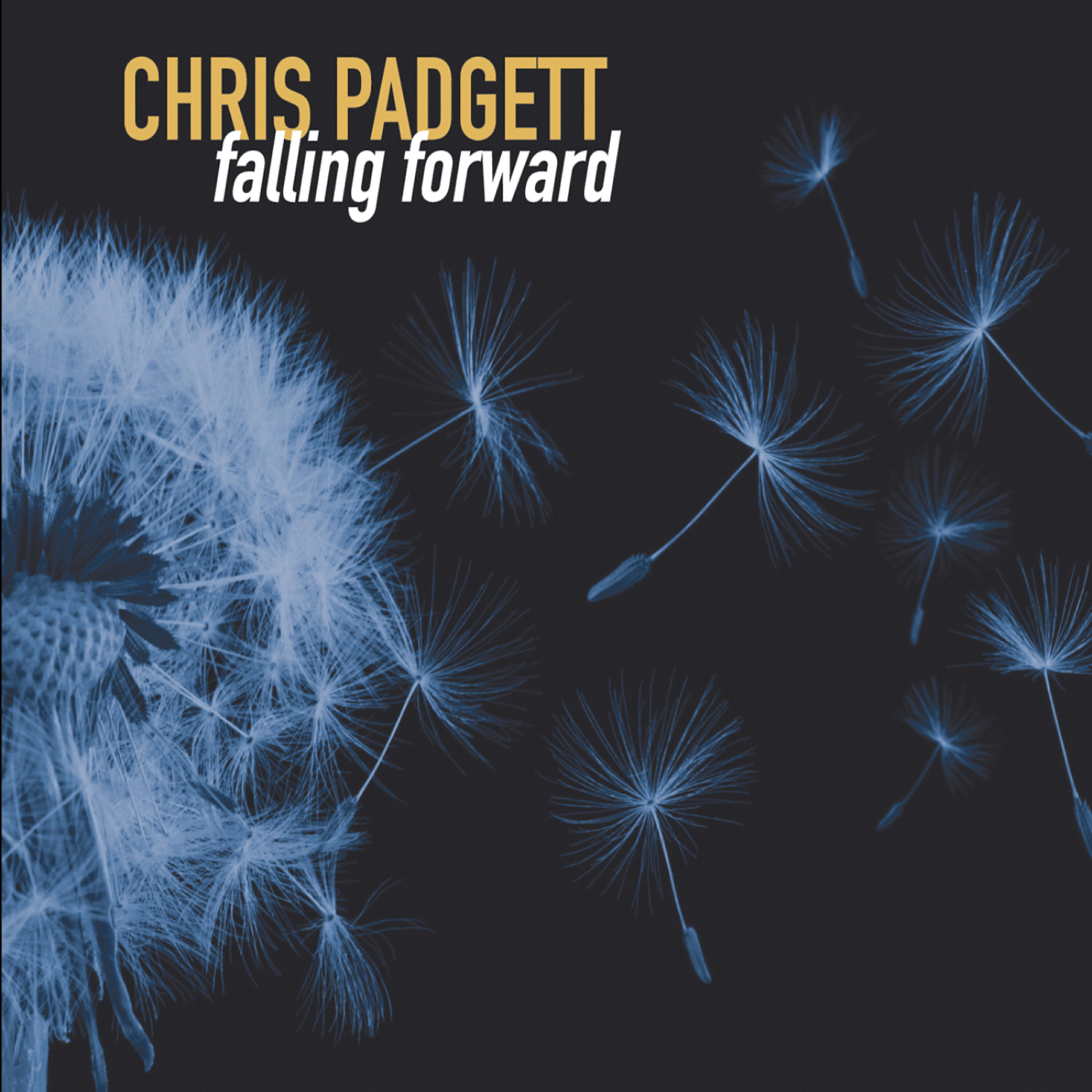 Chris Padgett - I See You Breathe