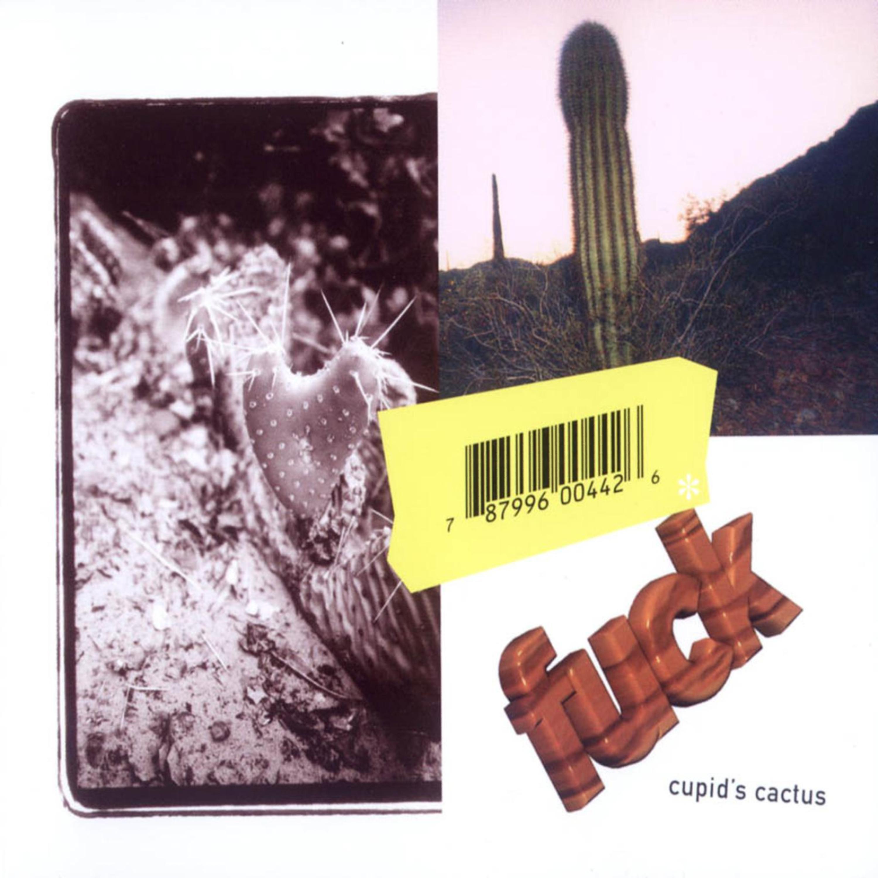 Постер альбома Cupid's Cactus