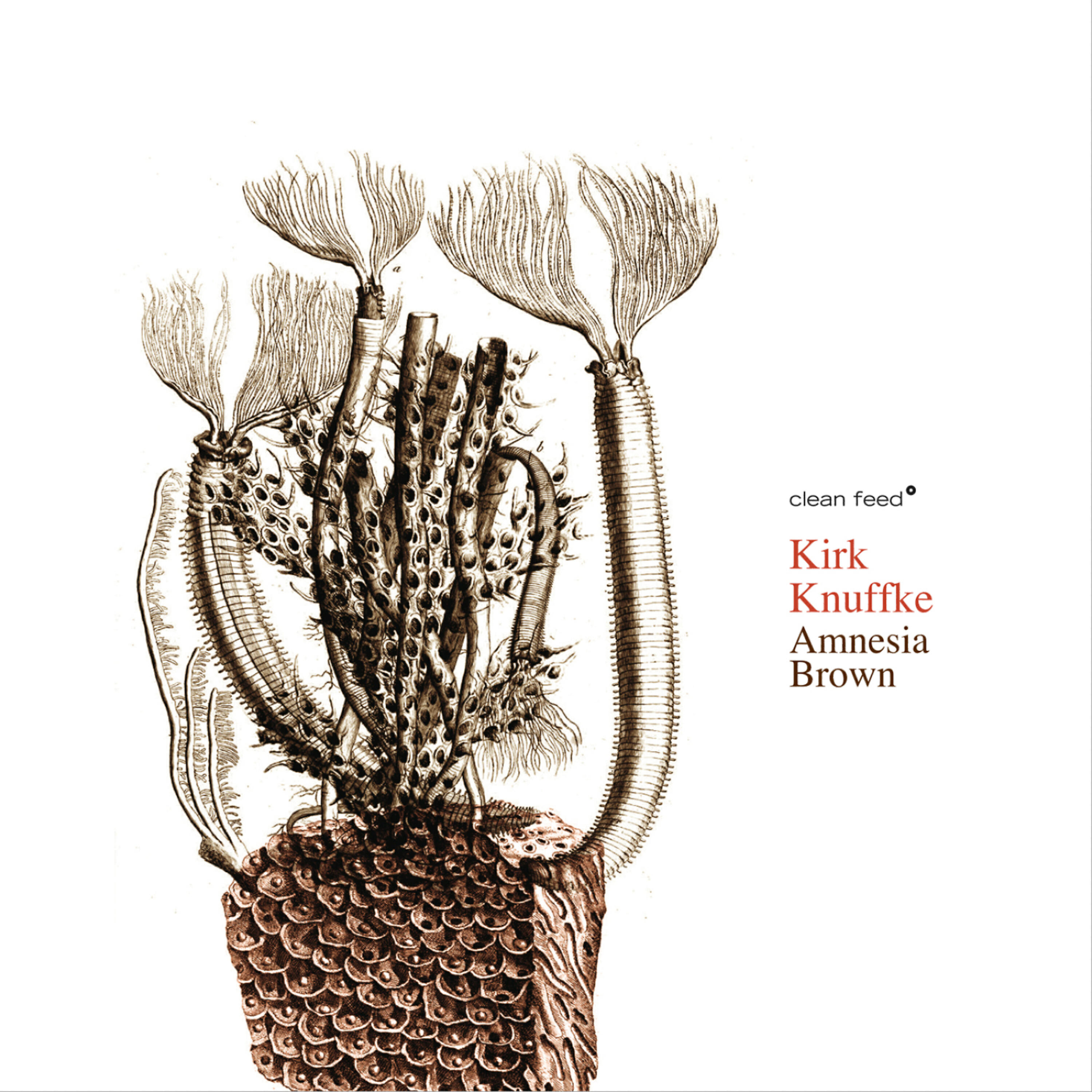 Kirk Knuffke - Anne