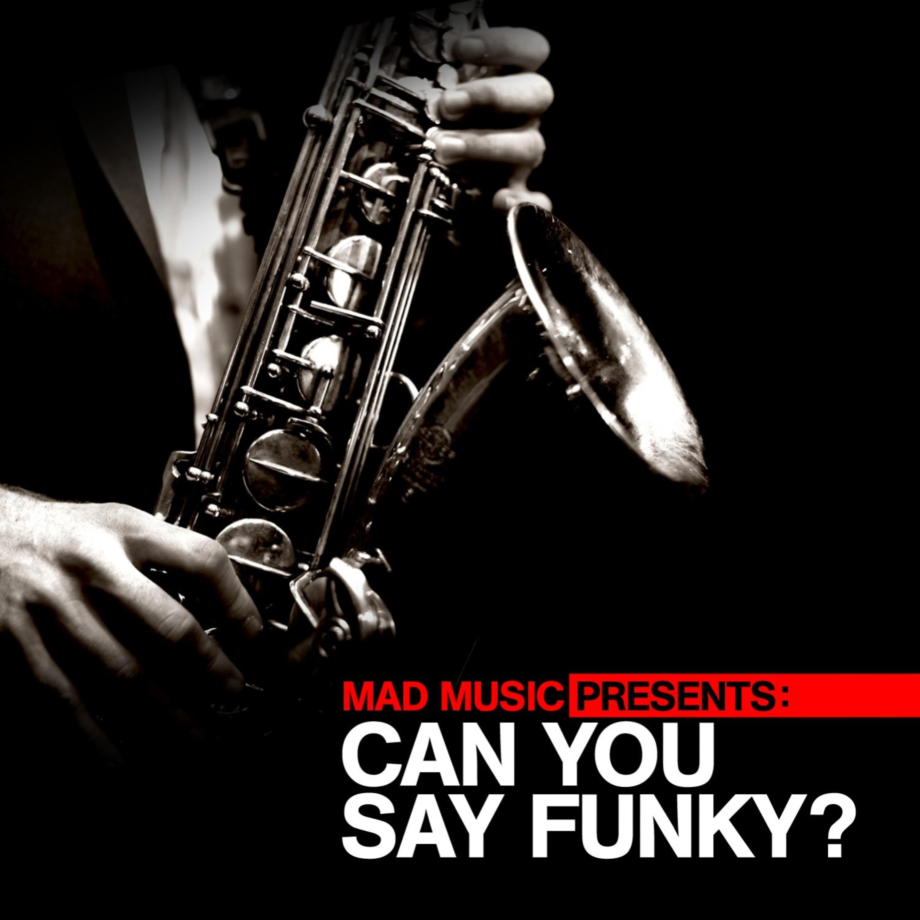 Постер альбома Mad Music Presents Can You Say Funky?
