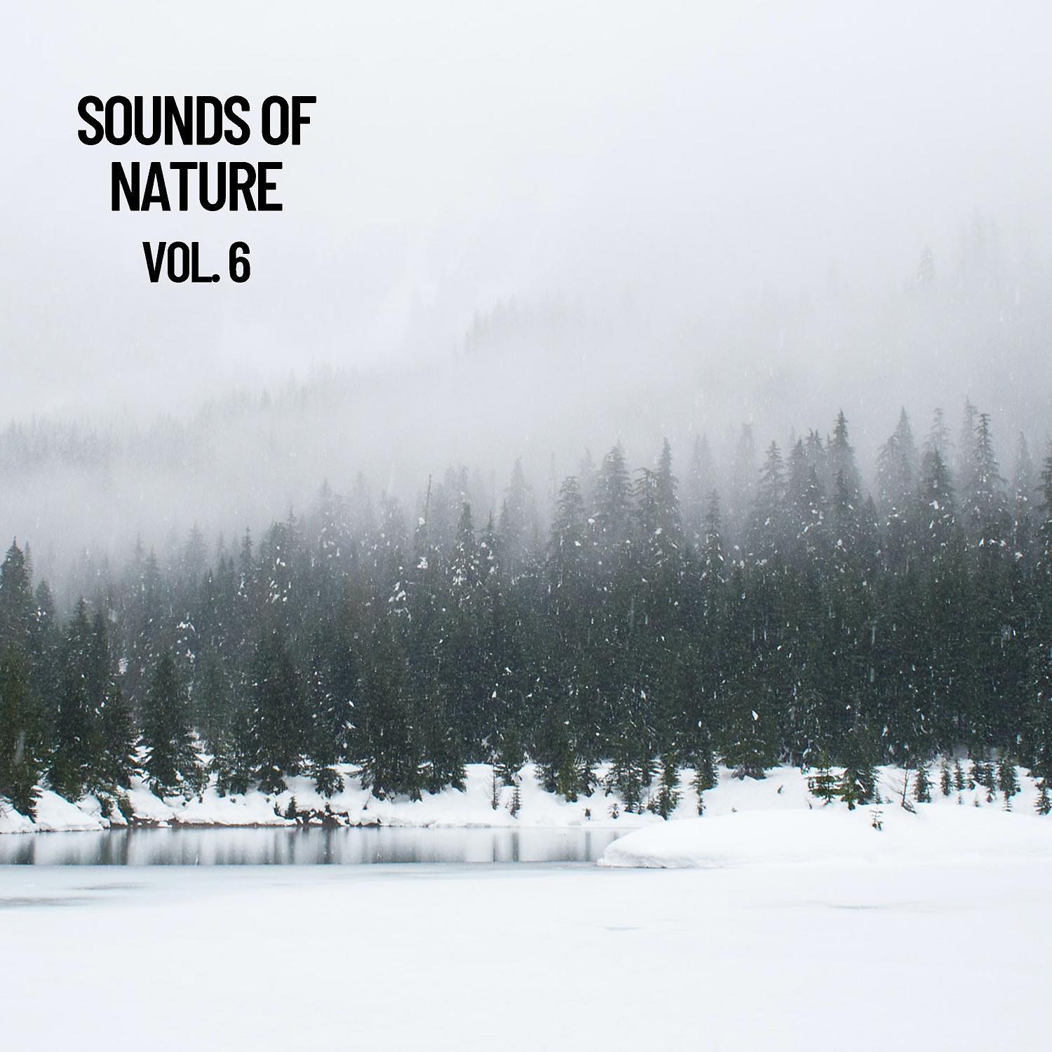 Постер альбома Sounds of Nature Vol. 6, Sounds of Nature Noise