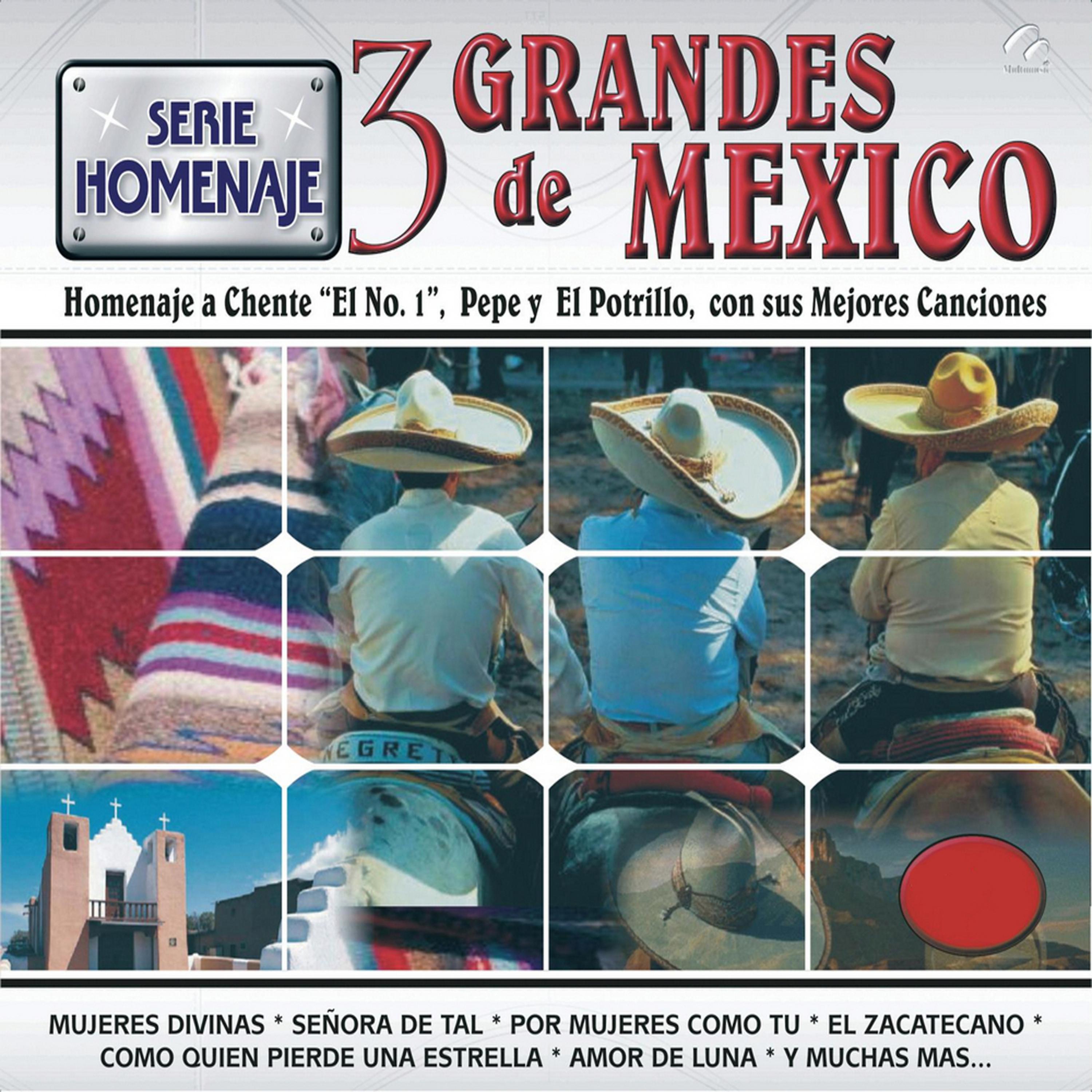 Постер альбома Serie Homenaje 3 Grandes de México