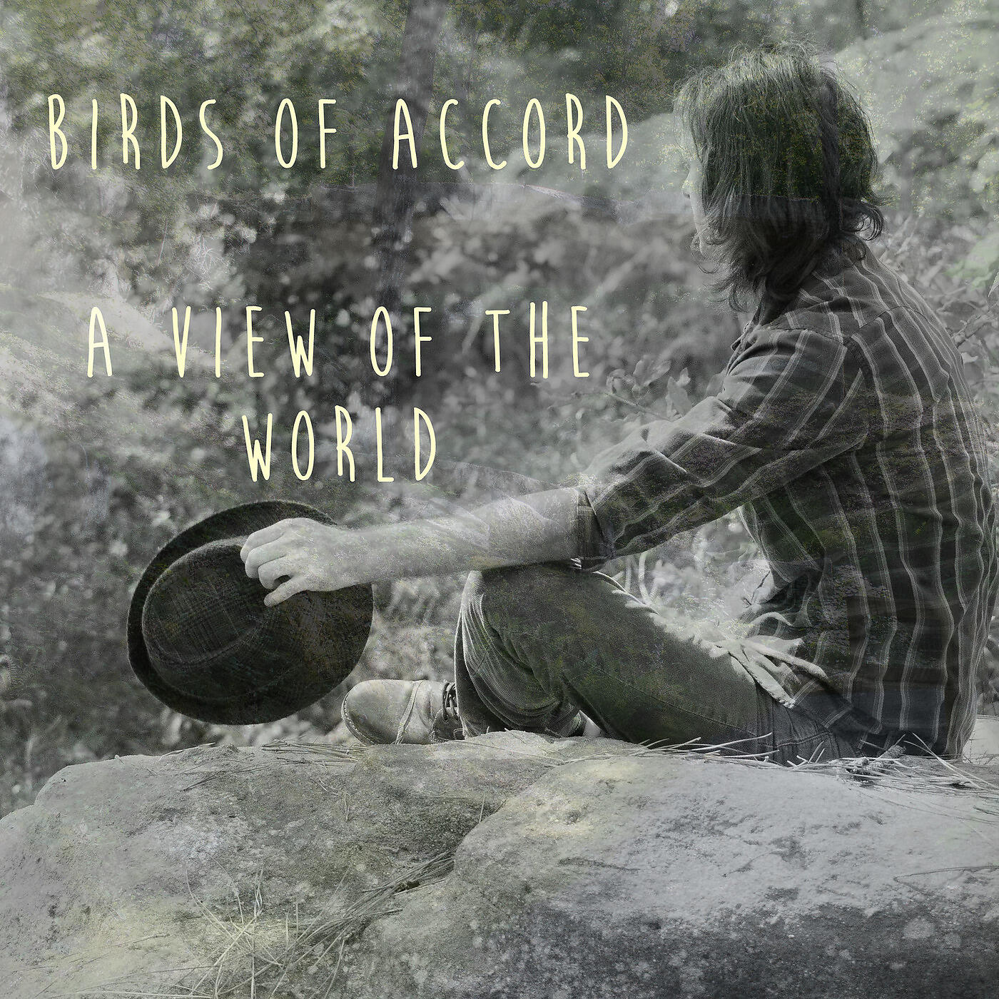 Birds of Accord - I Ain't a Settler