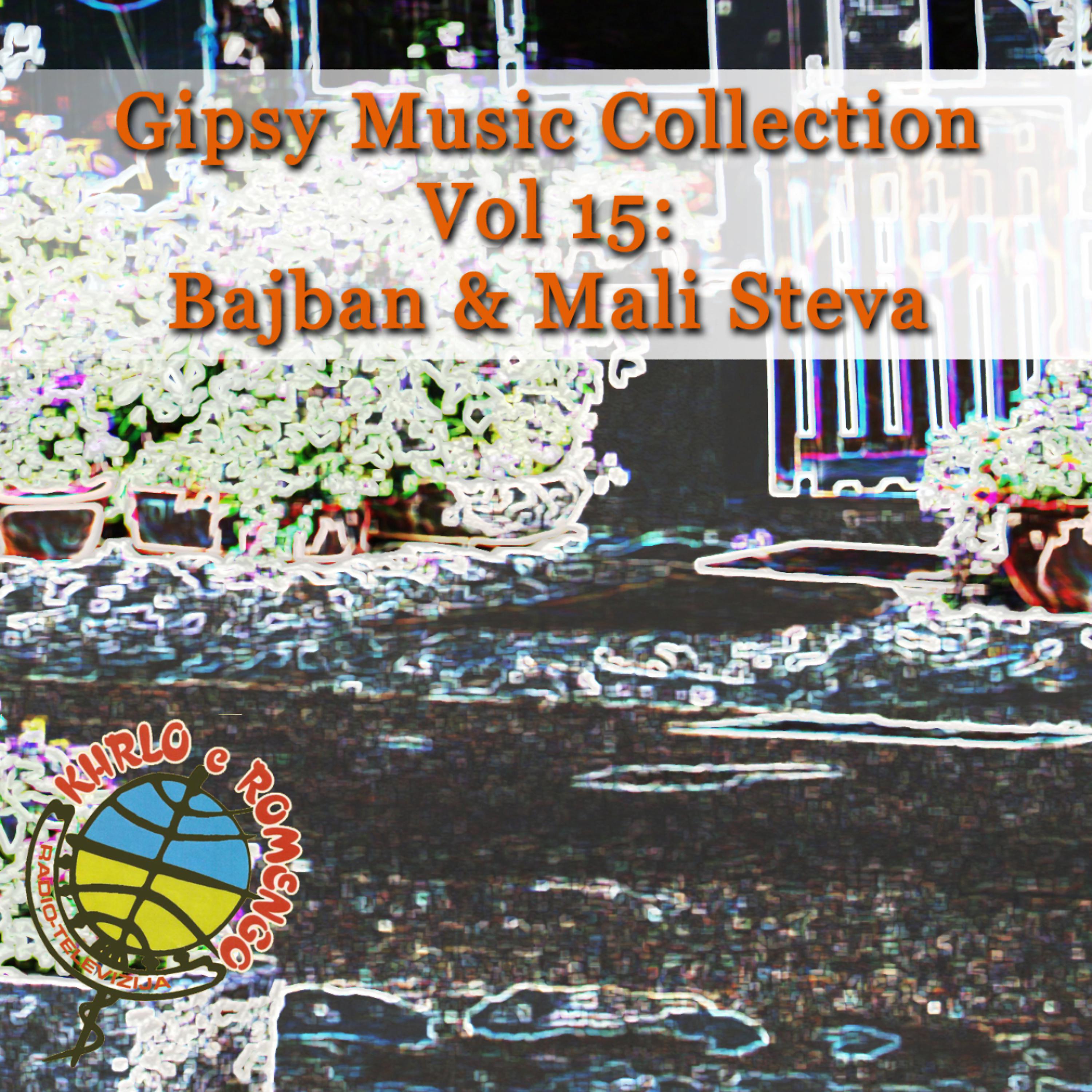 Постер альбома Gipsy Music Collection Vol. 15