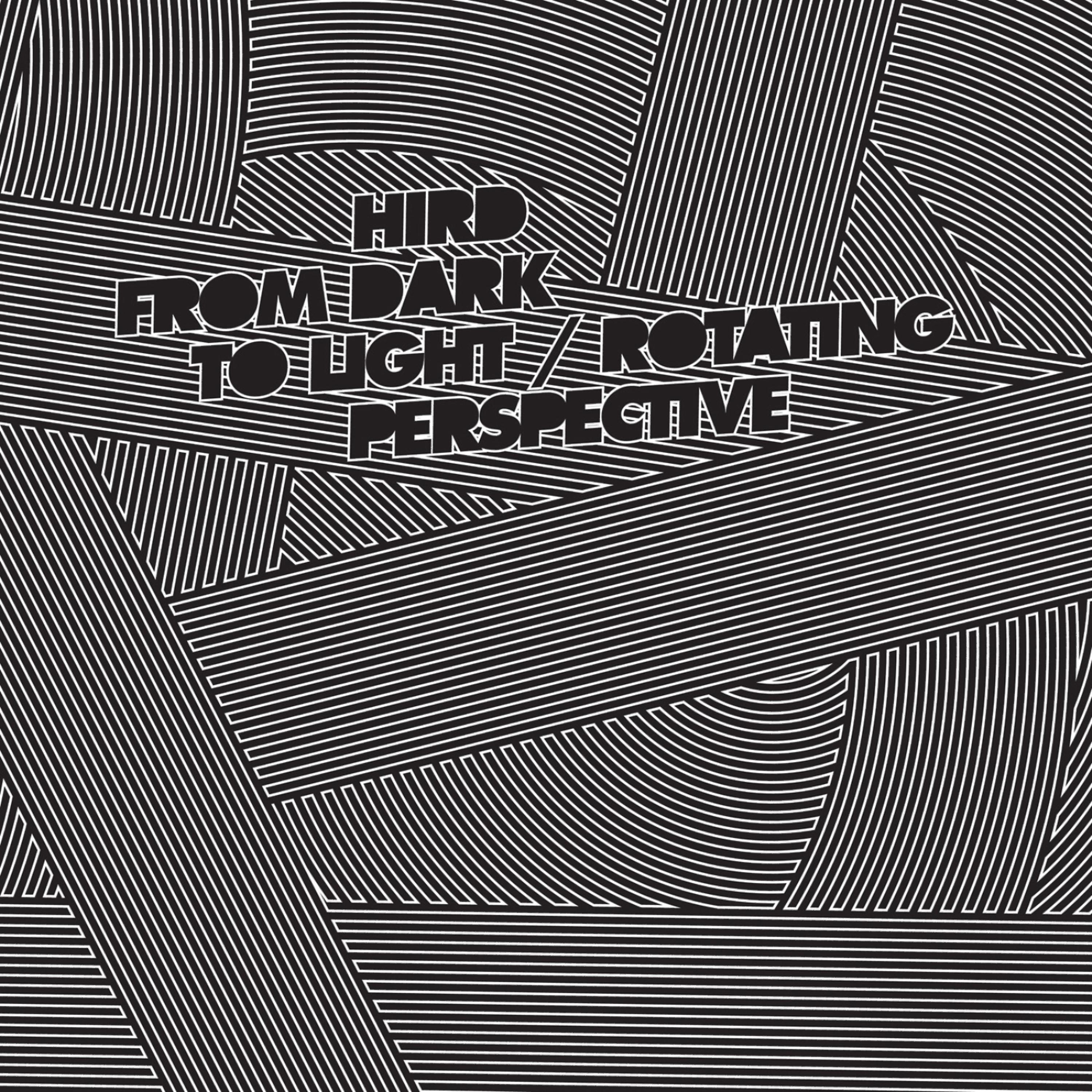Постер альбома From Dark to Light - Rotating Perspective