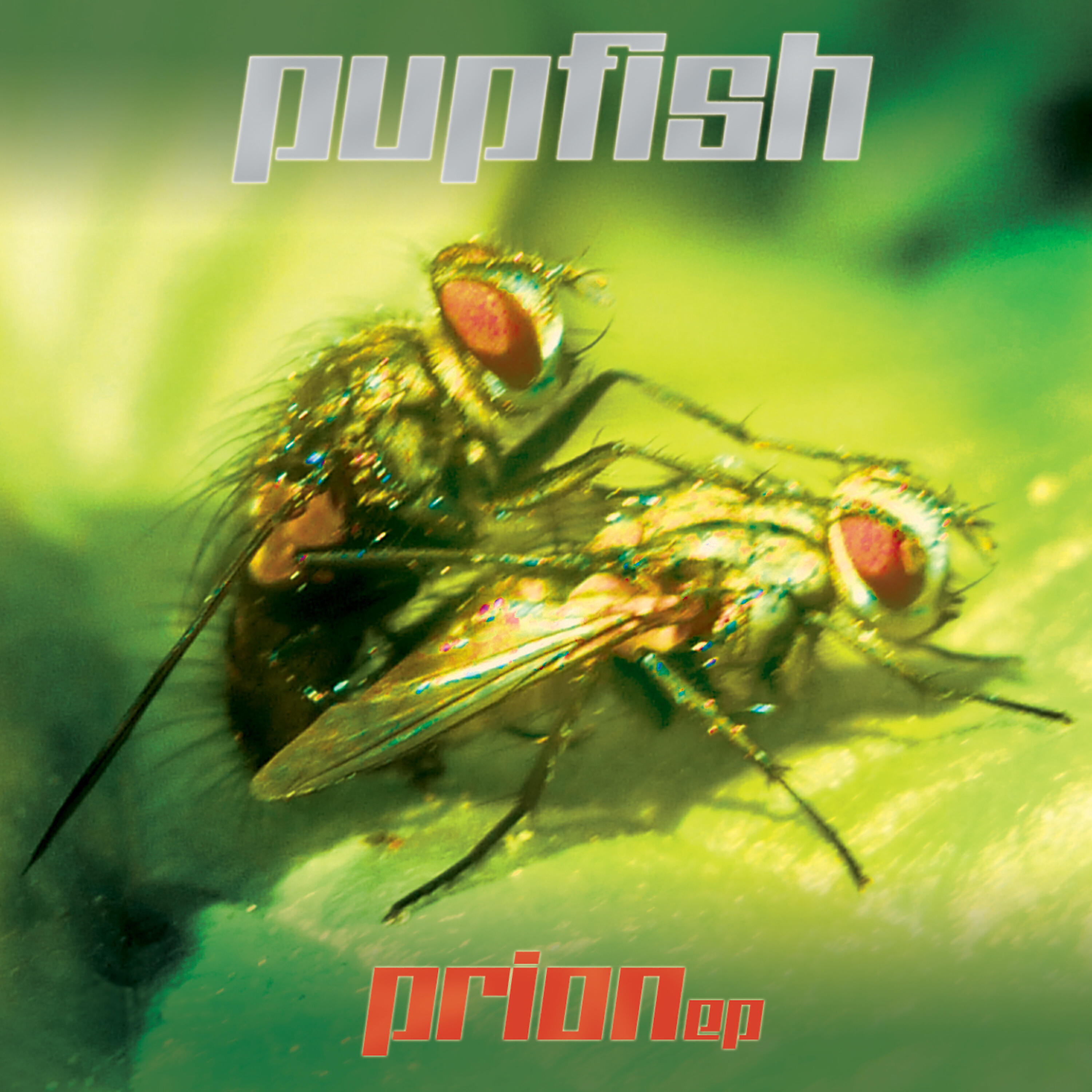 Pupfish - Togre (Original Mix)