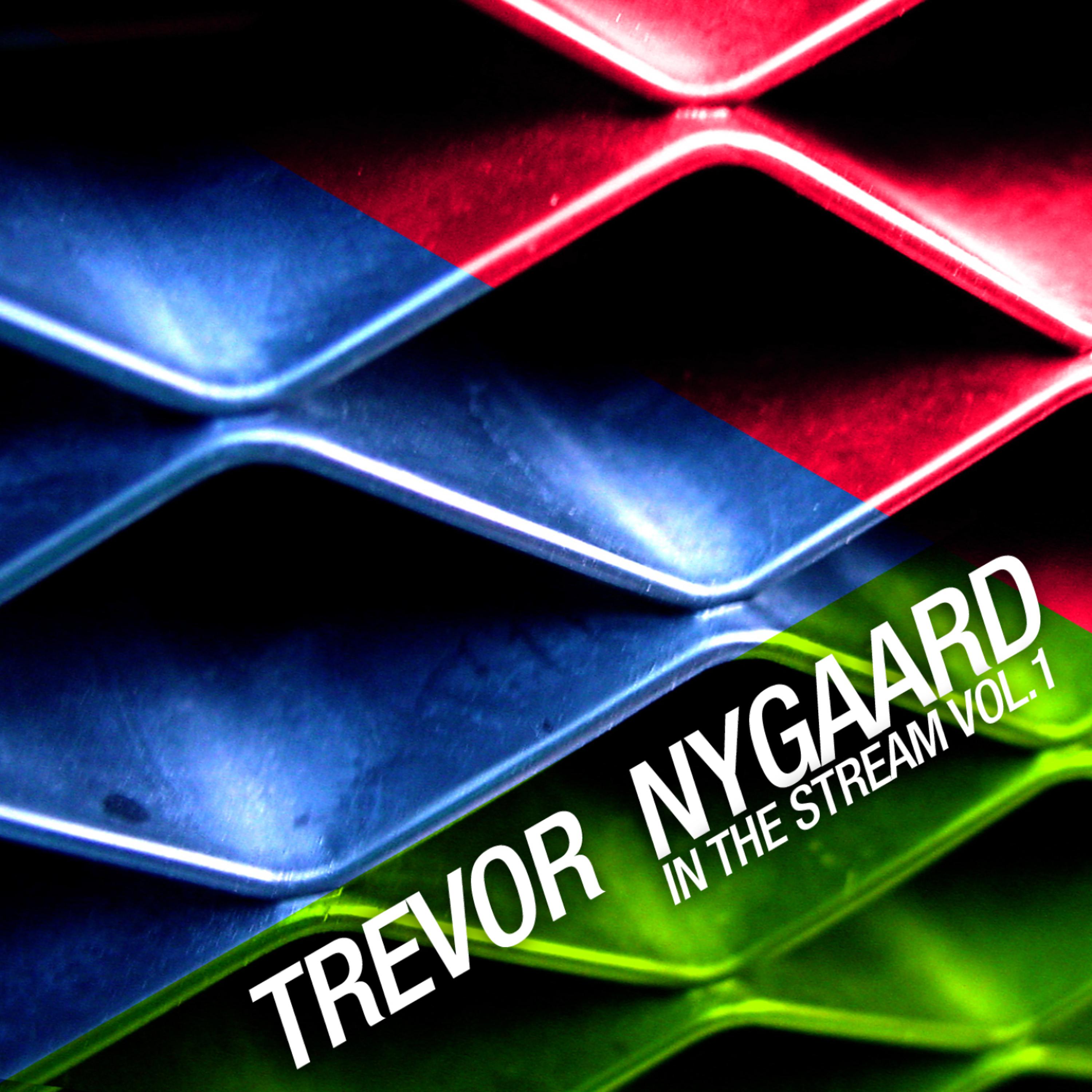 Постер альбома Trevor Nygaard in The Stream Vol.1