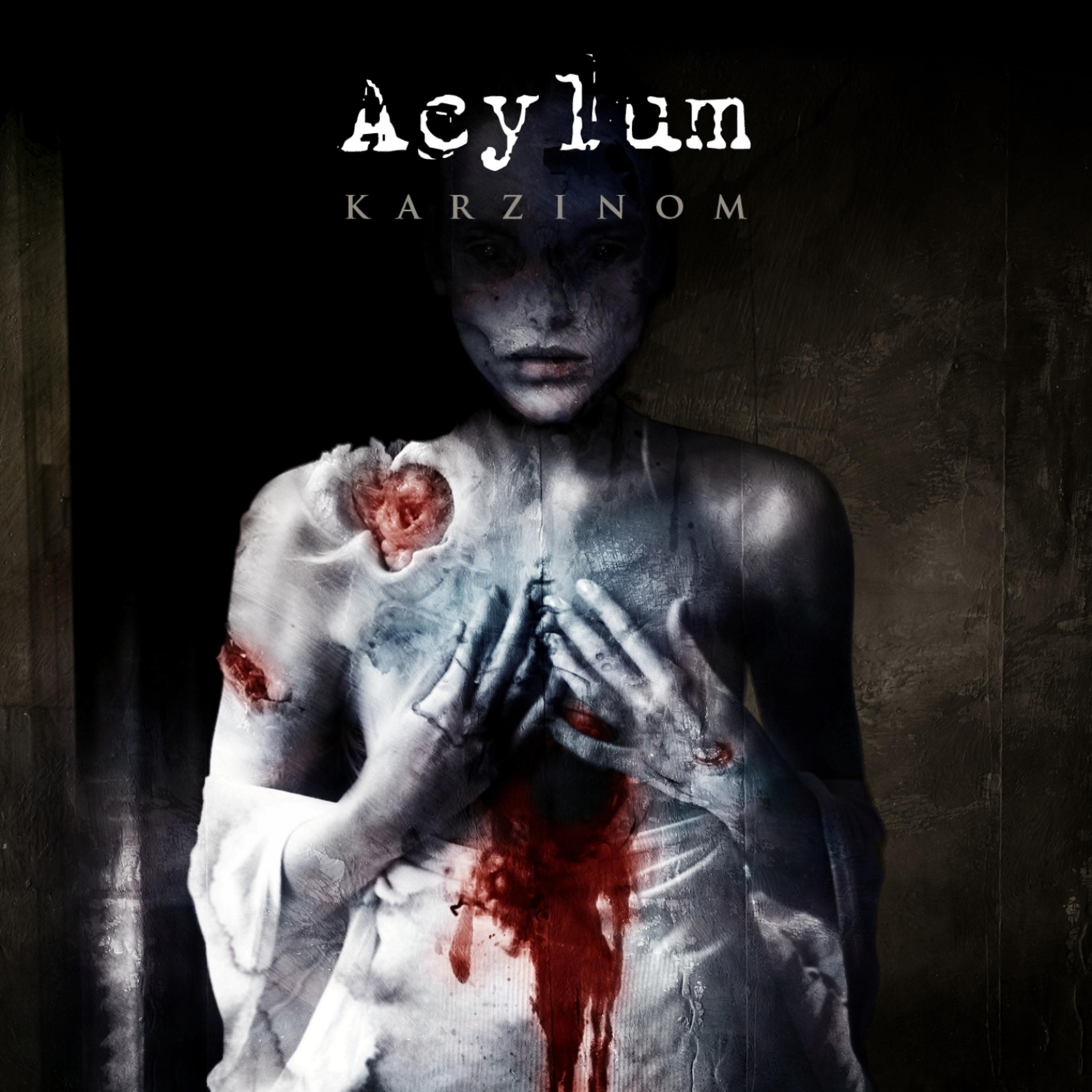 Постер альбома Karzinom