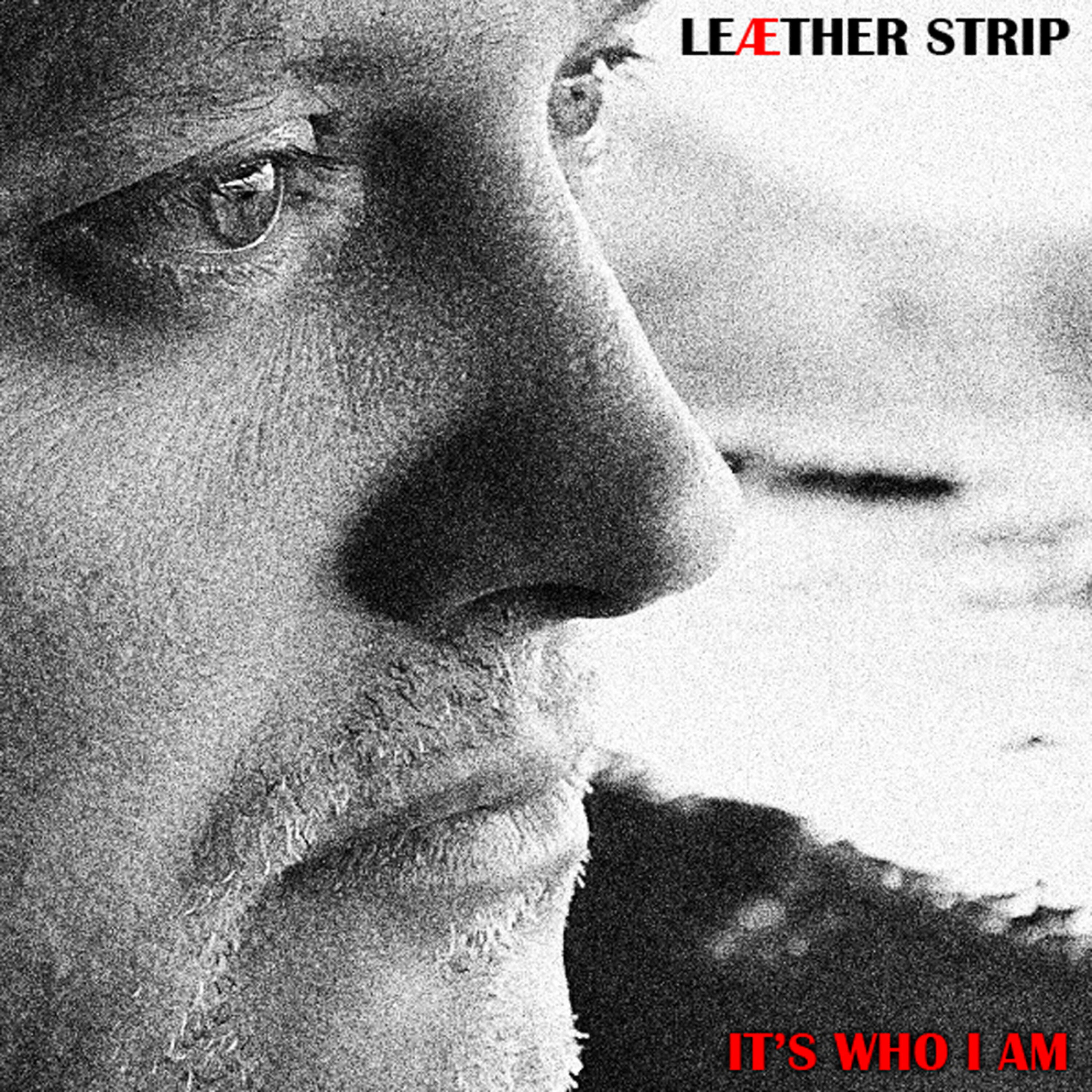Leaether Strip - It's Who I Am (The Sick Fuck Psychopomps Remix)