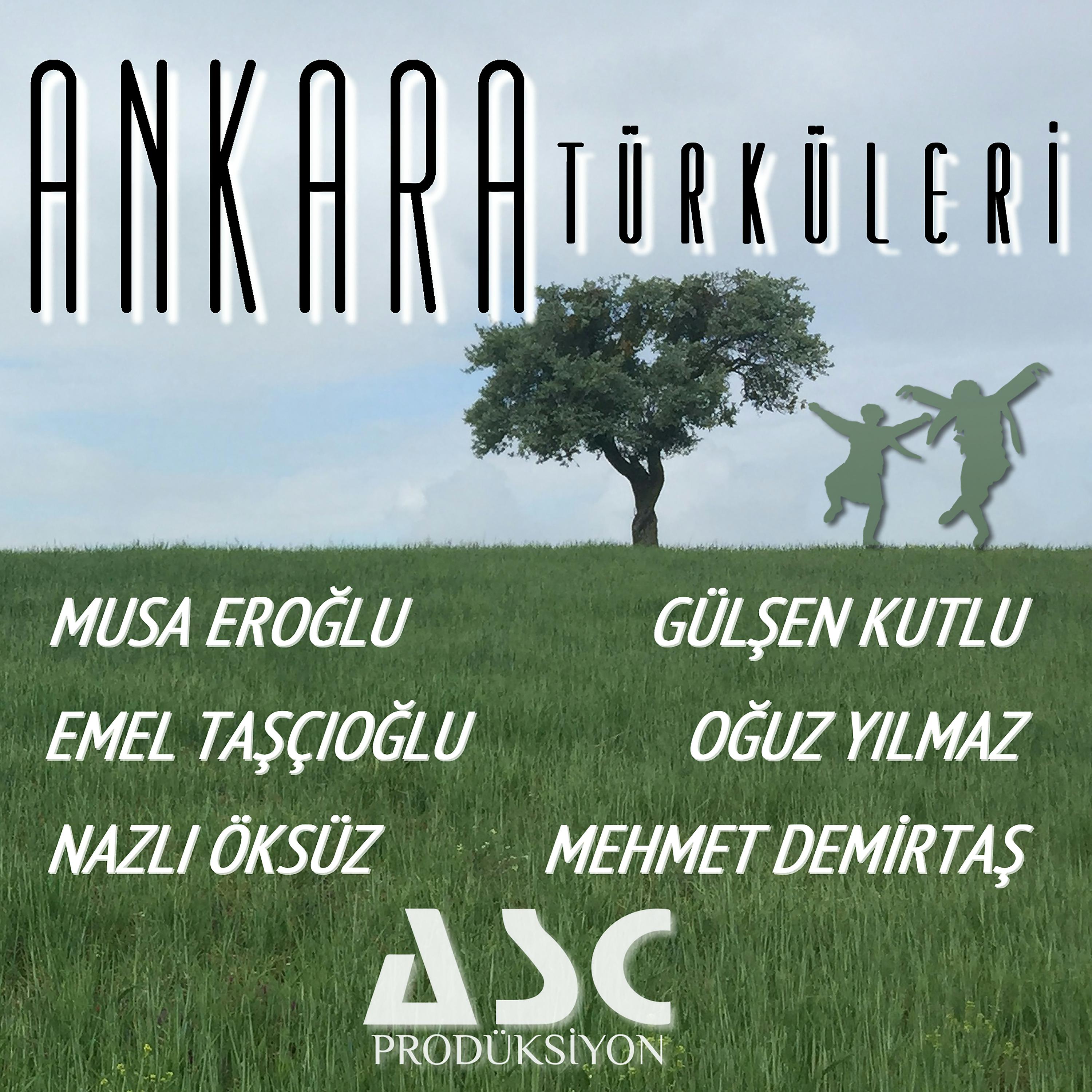 Постер альбома Ankara Türküleri