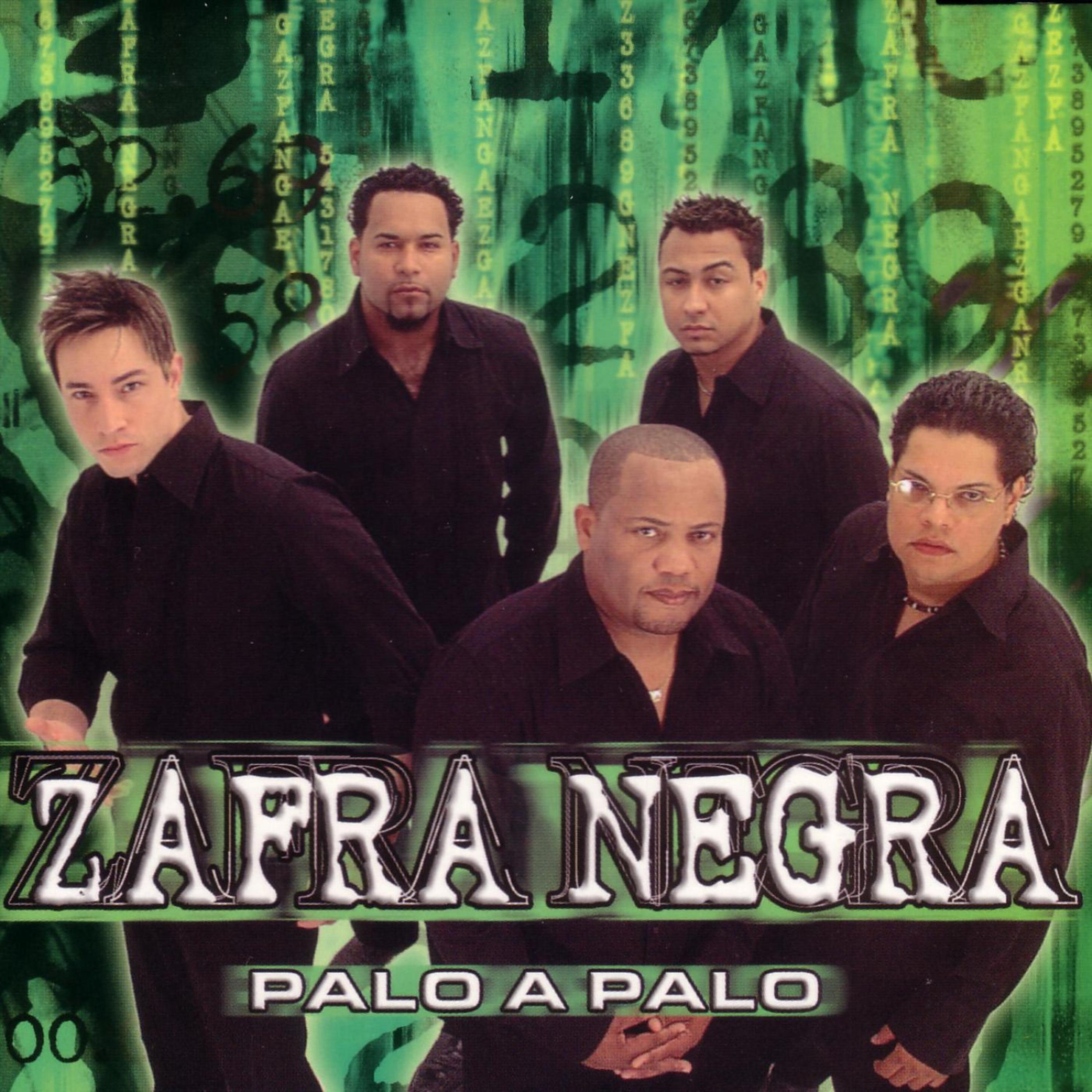 Постер альбома Palo A Palo