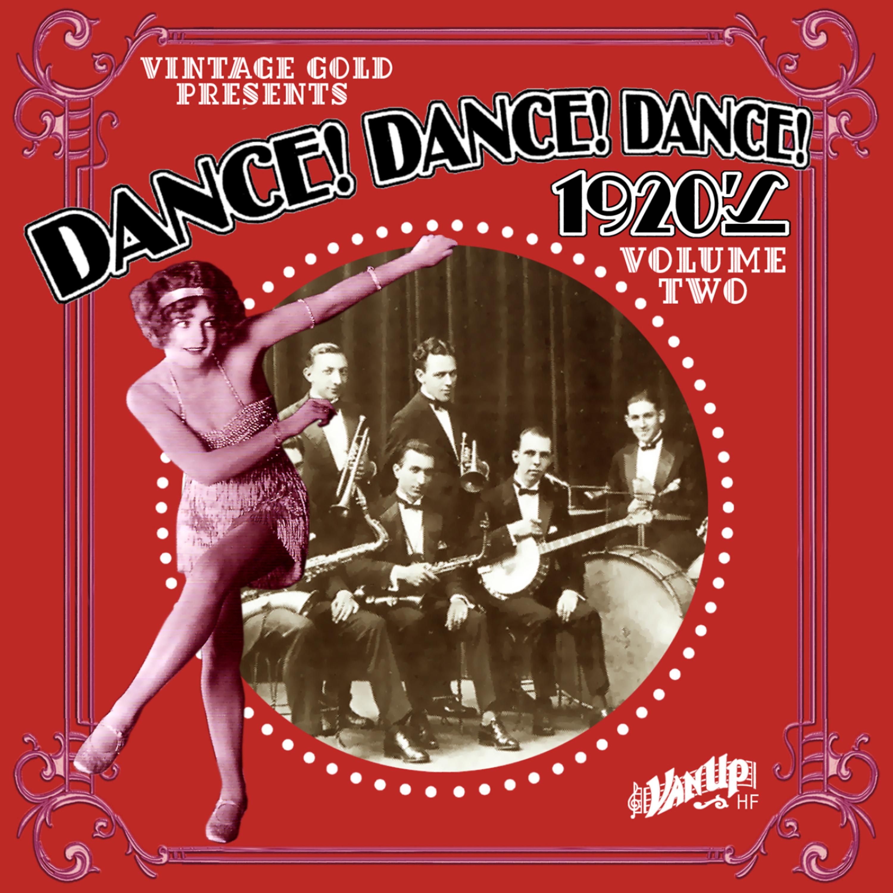 Постер альбома Dance! Dance! Dance! 1920s, Vol. 2: Victor Recording Artists