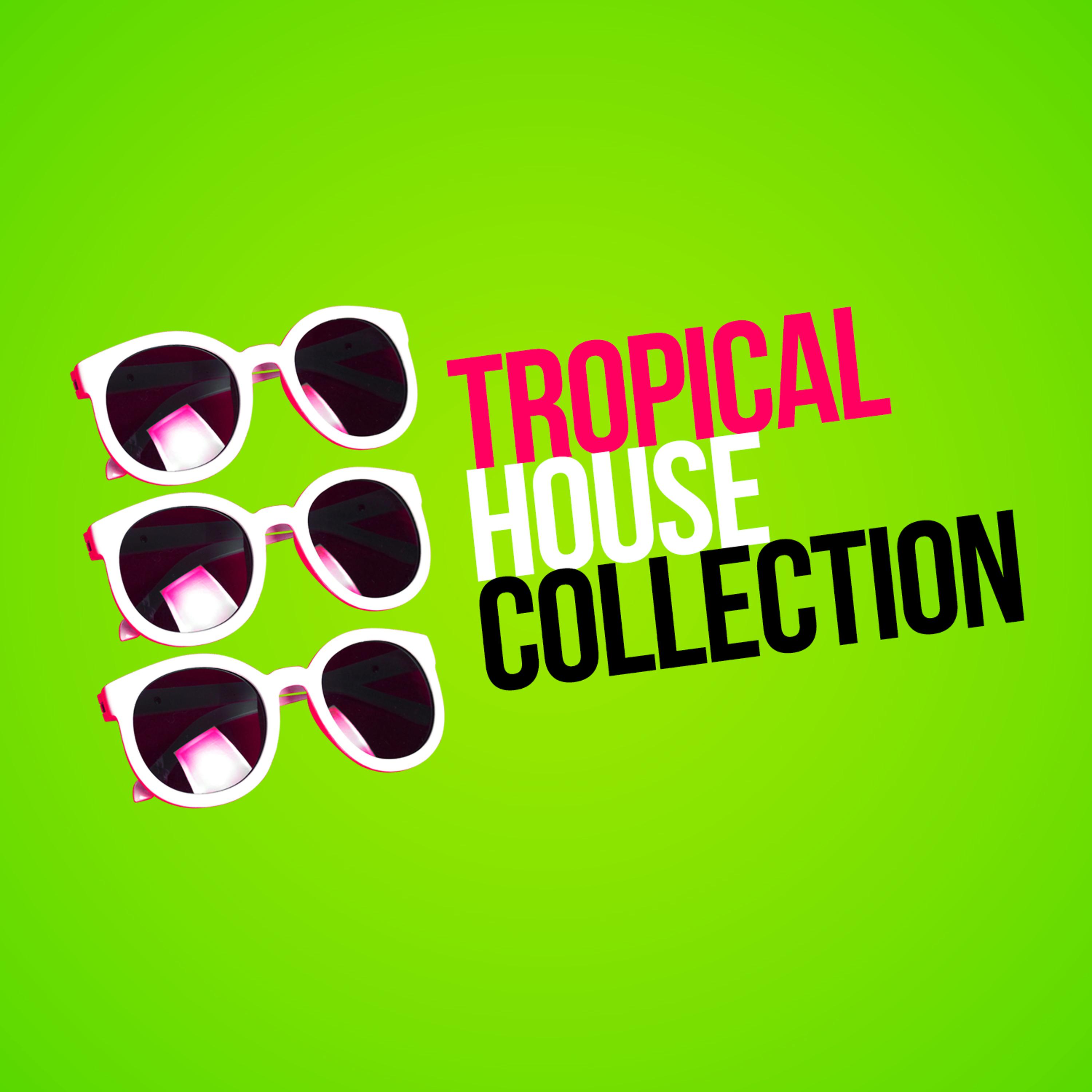 Постер альбома Tropical House Collection