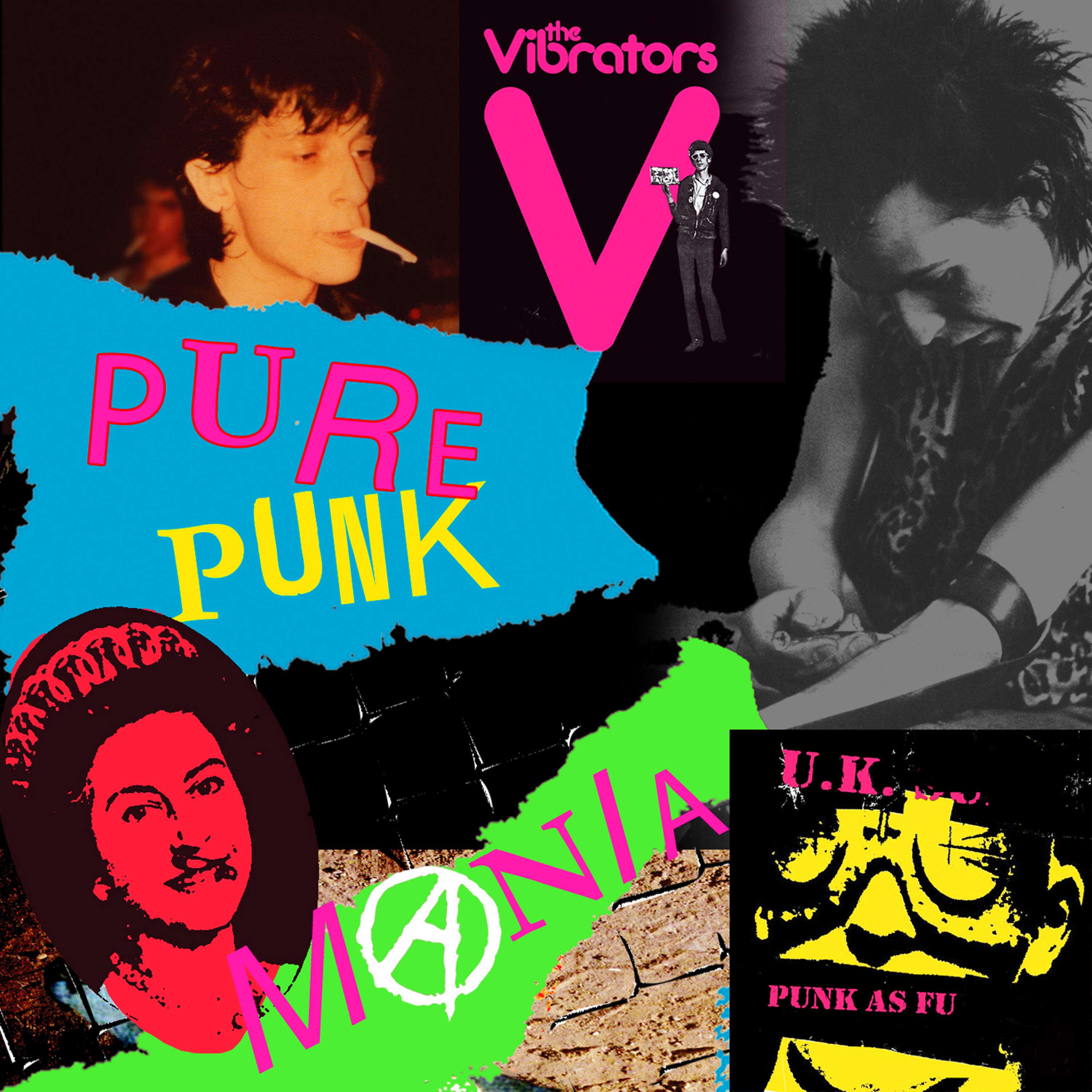 Постер альбома Pure Punk Mania