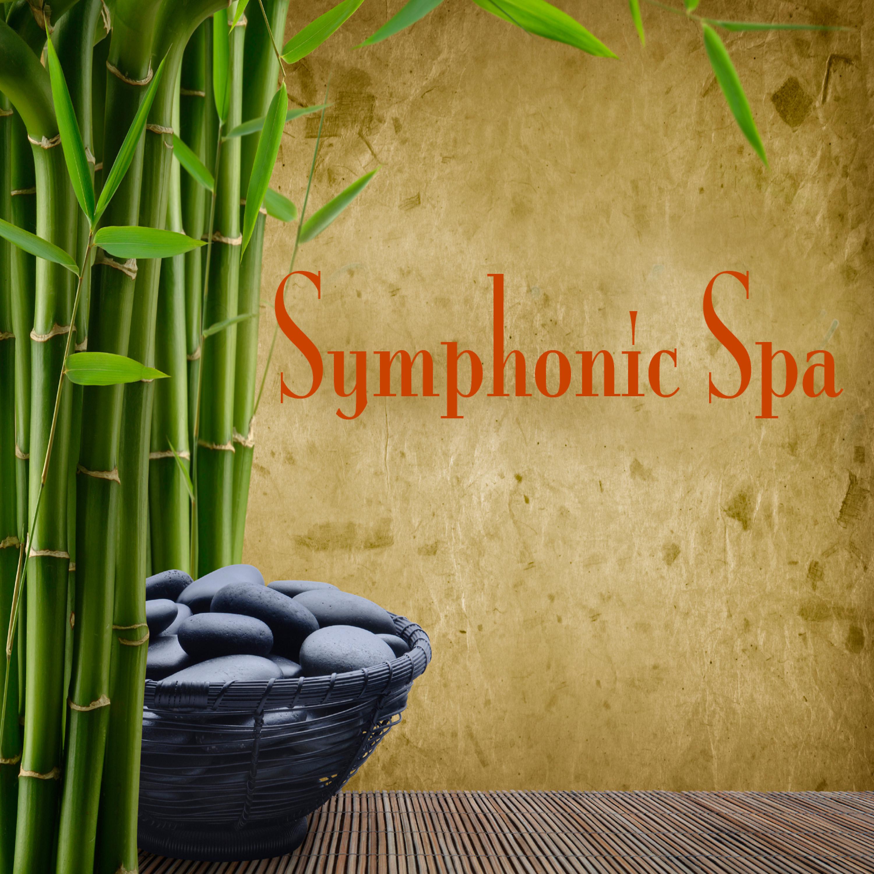 Постер альбома Symphonic Spa